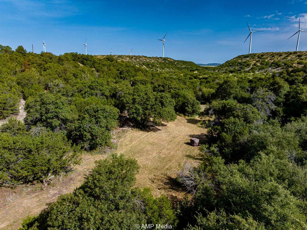 1814 County Road 351 Merkel, TX 79536 - Photo 21 of 30