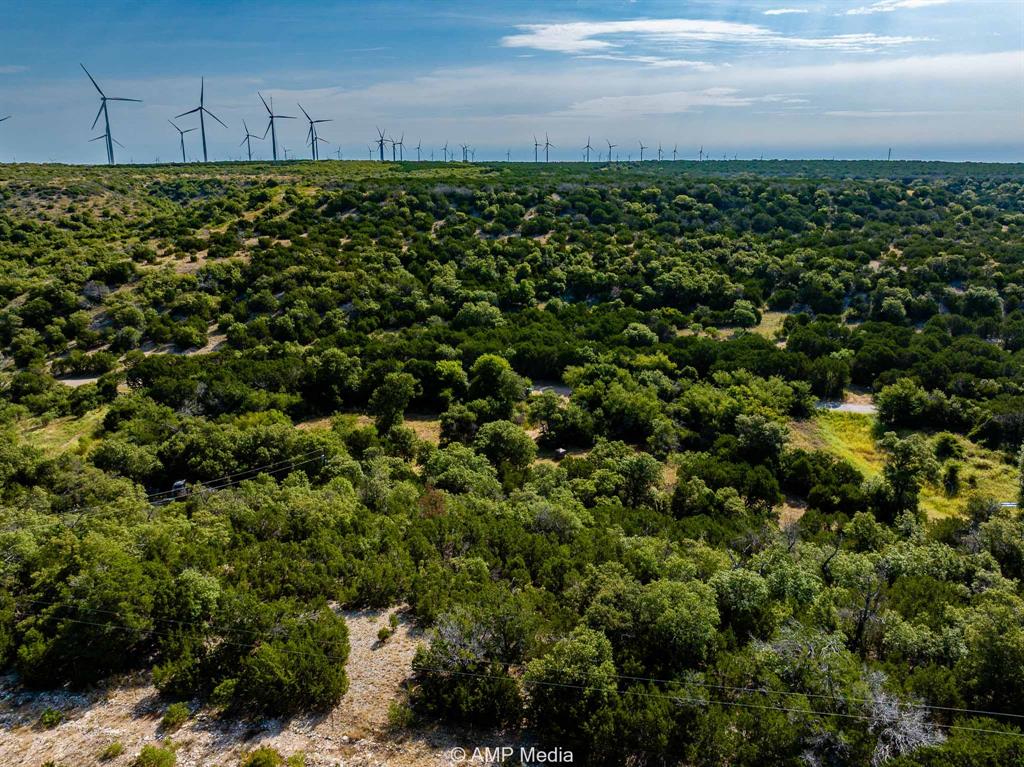 1814 County Road 351 Merkel, TX 79536 - Photo 22 of 31 a view of a green field