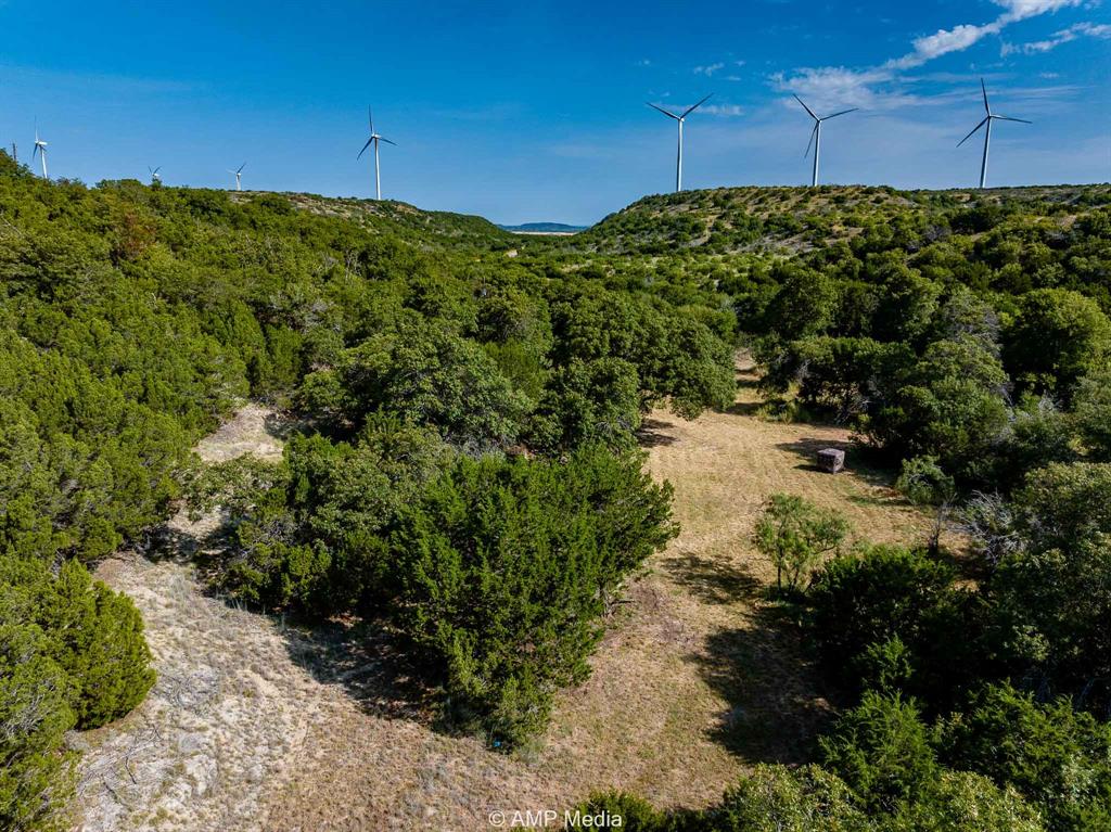 1814 County Road 351 Merkel, TX 79536 - Photo 22 of 30 a view of a garden with a building