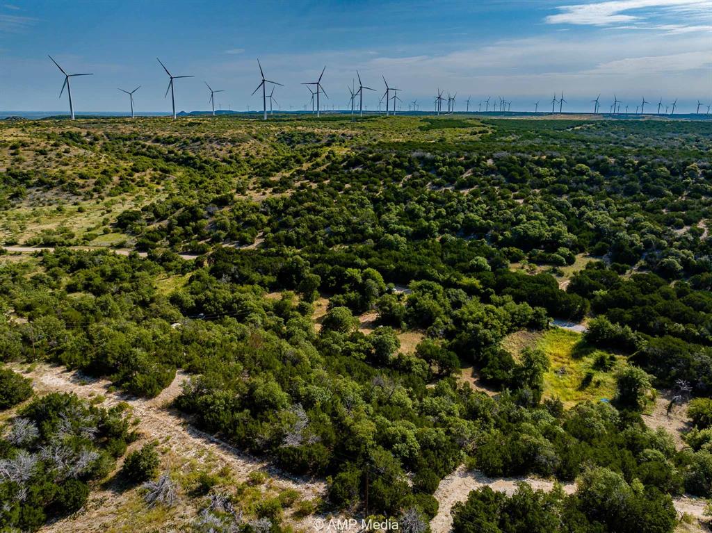 1814 County Road 351 Merkel, TX 79536 - Photo 23 of 31 a view of a green field