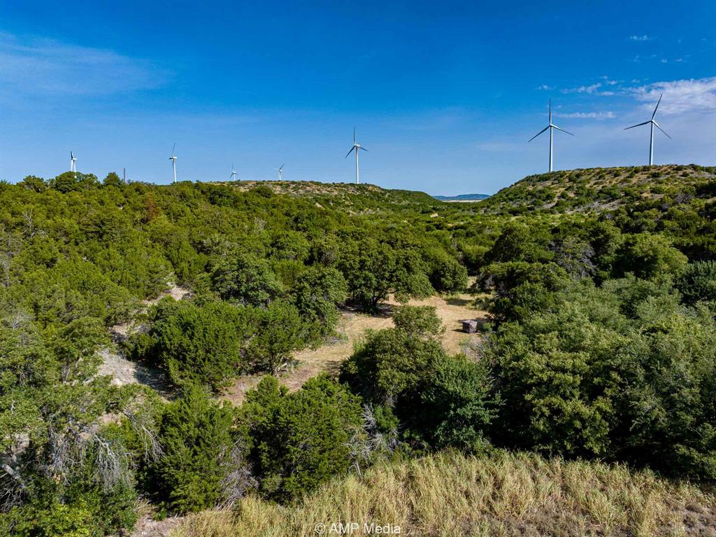 1814 County Road 351 Merkel, TX 79536 - Photo 24 of 30 a view of a yard with a tree