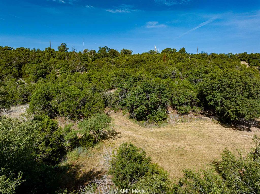 1814 County Road 351 Merkel, TX 79536 - Photo 26 of 31 a view of a yard with a tree