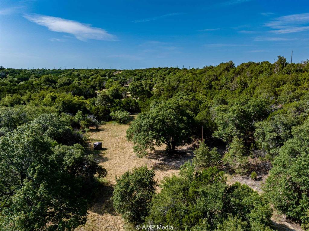 1814 County Road 351 Merkel, TX 79536 - Photo 29 of 31 a view of a lake with a forest