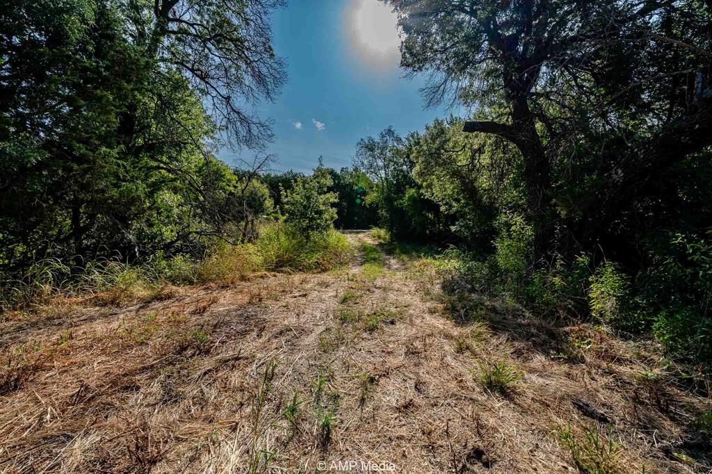 1814 County Road 351 Merkel, TX 79536 - Photo 4 of 31 a view of a yard with plants and large trees