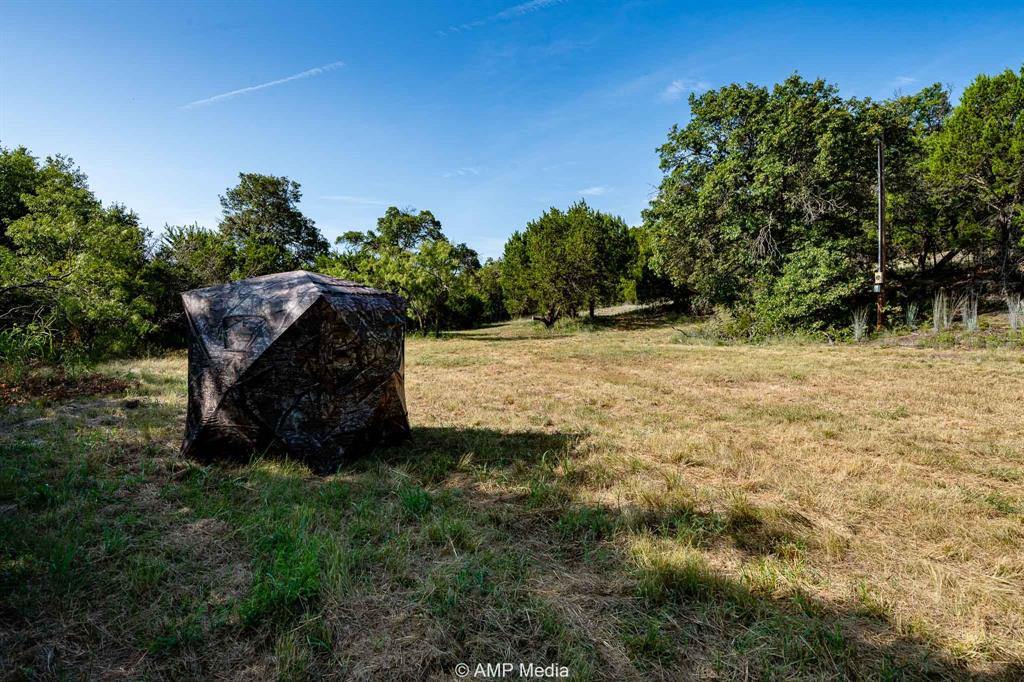 1814 County Road 351 Merkel, TX 79536 - Photo 5 of 31 a view of a yard with plants and a tree