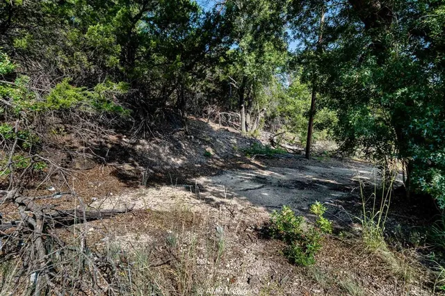 a view of a yard with plants and trees