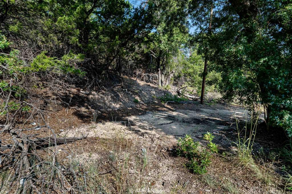 1814 County Road 351 Merkel, TX 79536 - Photo 7 of 30 a view of a yard with plants and trees