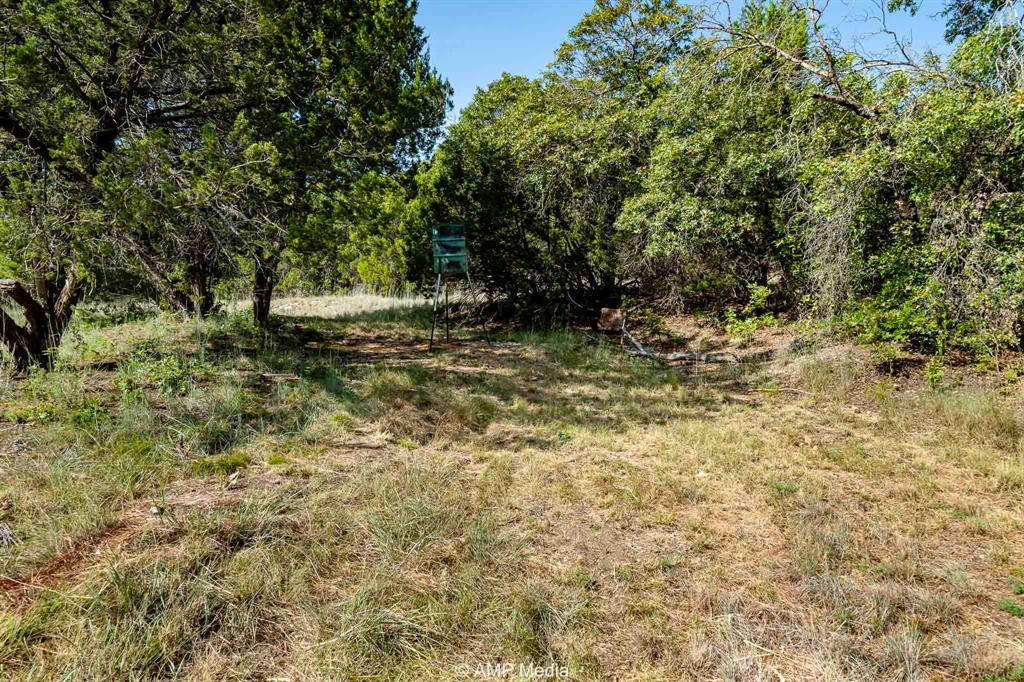 1814 County Road 351 Merkel, TX 79536 - Photo 9 of 31 a view of a yard with a tree
