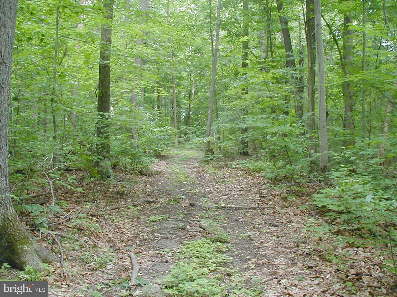 Candy Hill Road Brandywine, MD 20613 - Photo 1 of 4 Exterior (General)