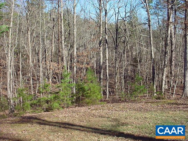 71 The Way Buckingham, VA 23921 - Photo 4 of 14 Gallery Image 4