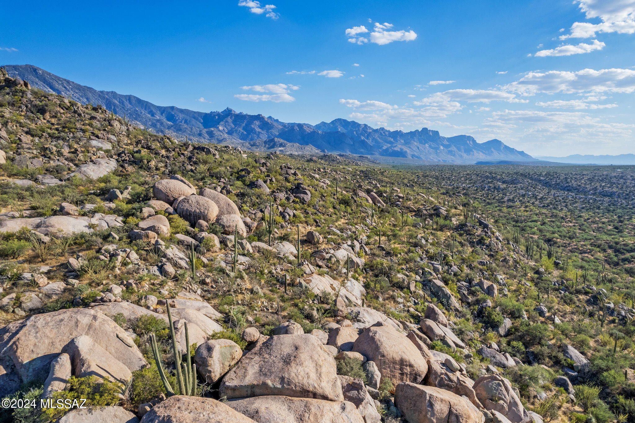 16500 North Ridge Rock Trail Tucson, AZ 85739 - Photo 8 of 29 2-web-or-mls-16500 N Ridge Rock Trail -
