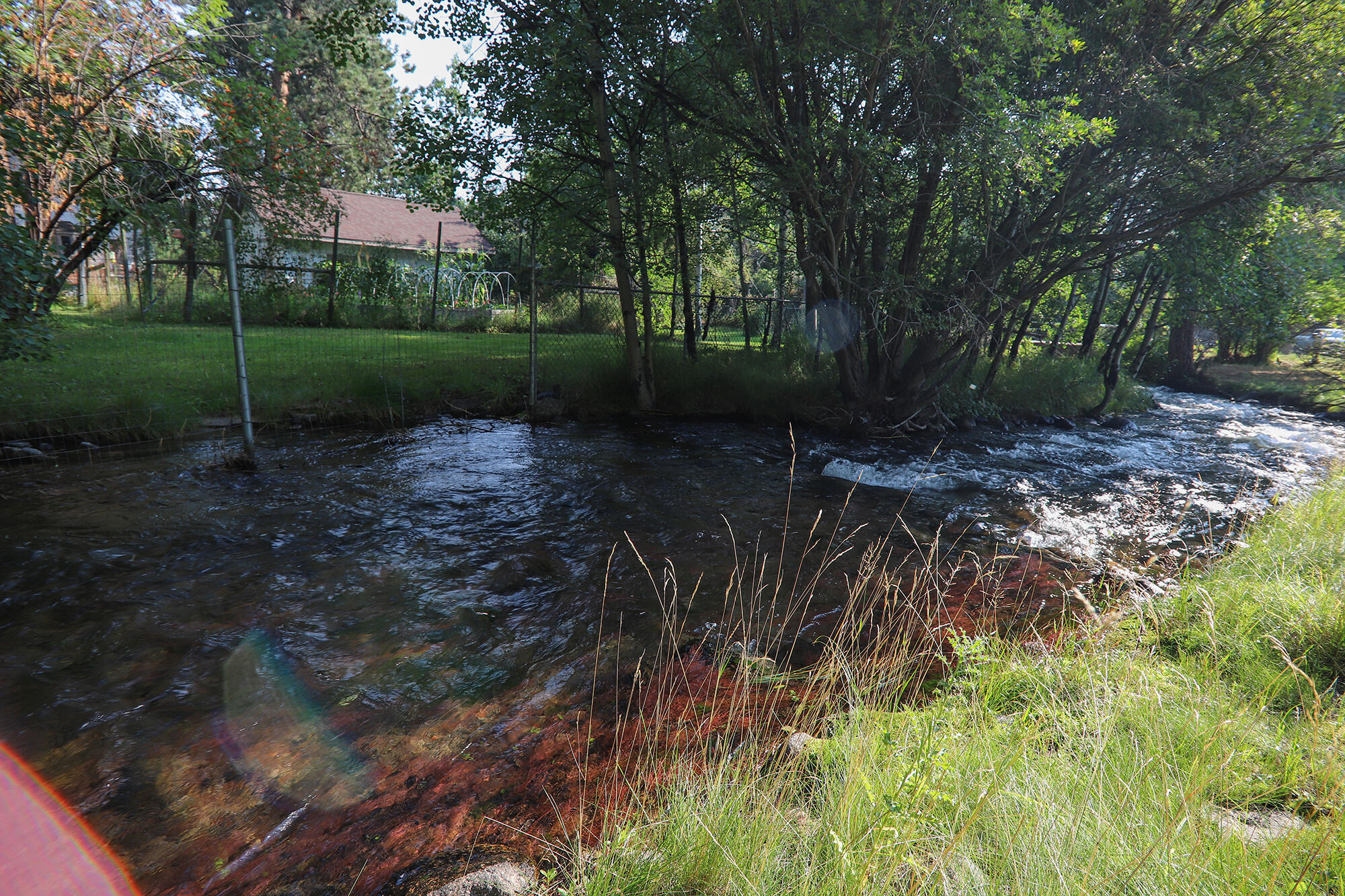 59 Fish Hatchery Road Story, WY 82842 - Photo 31 of 44 31.
