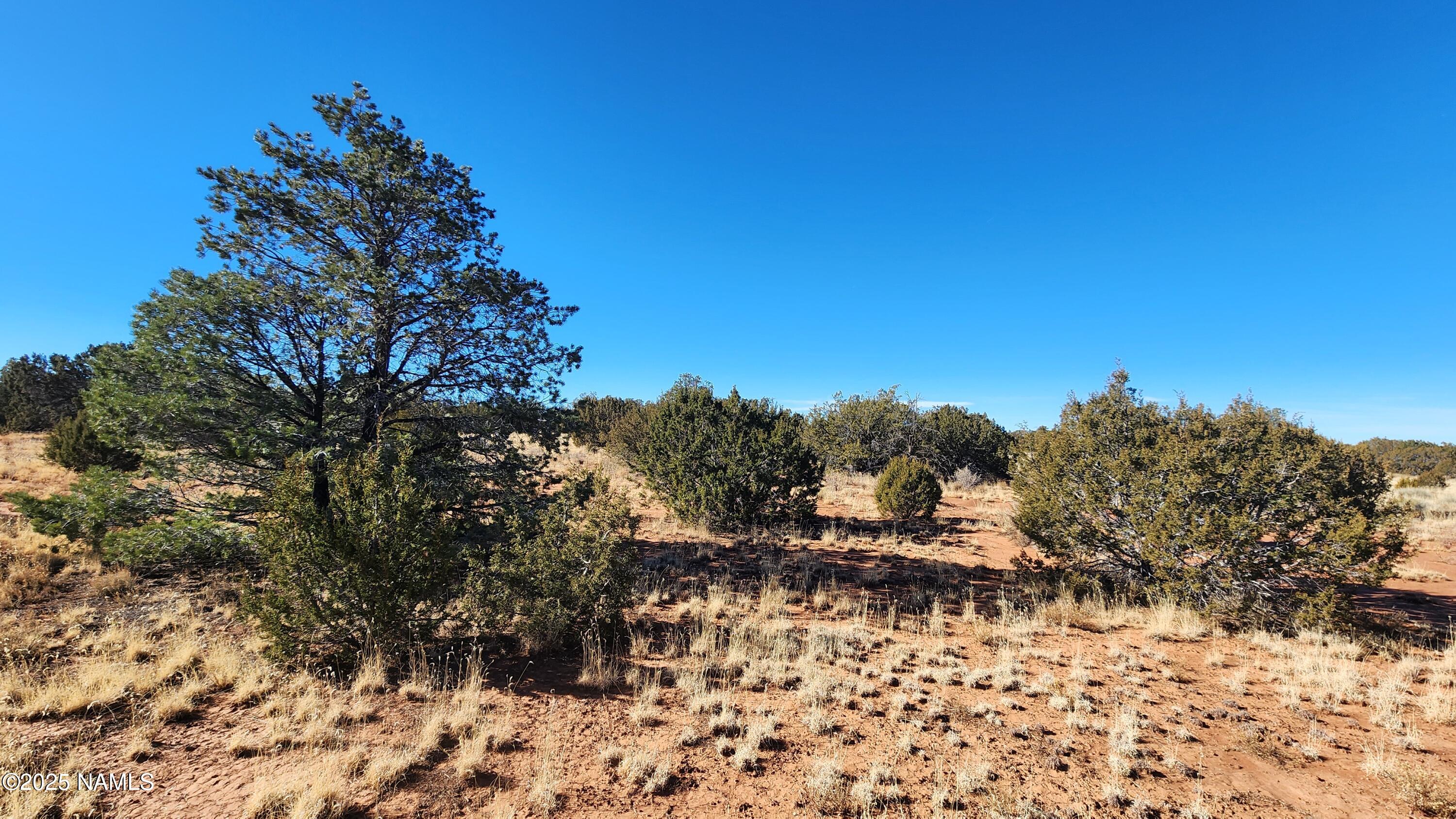 3372 East Valencia Road Williams, AZ 86046 - Photo 9 of 34 1000023825