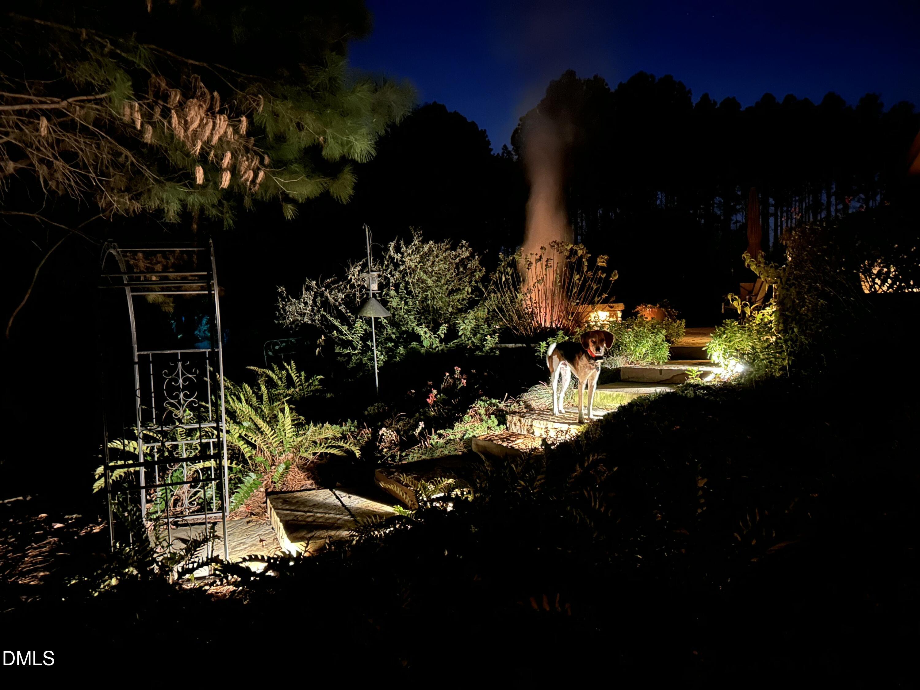 45 Meadow Wood Lane Willow Spring, NC 27592 - Photo 11 of 68 exterior 2