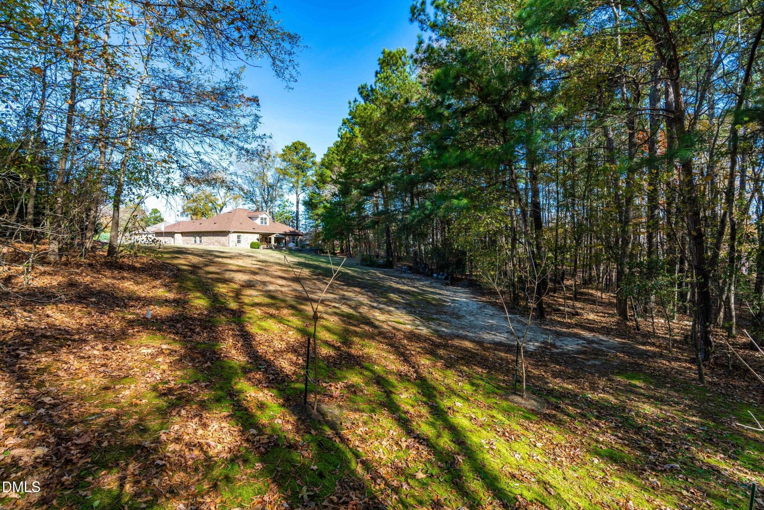 45 Meadow Wood Lane Willow Spring, NC 27592 - Photo 63 of 68 54_dsc01375