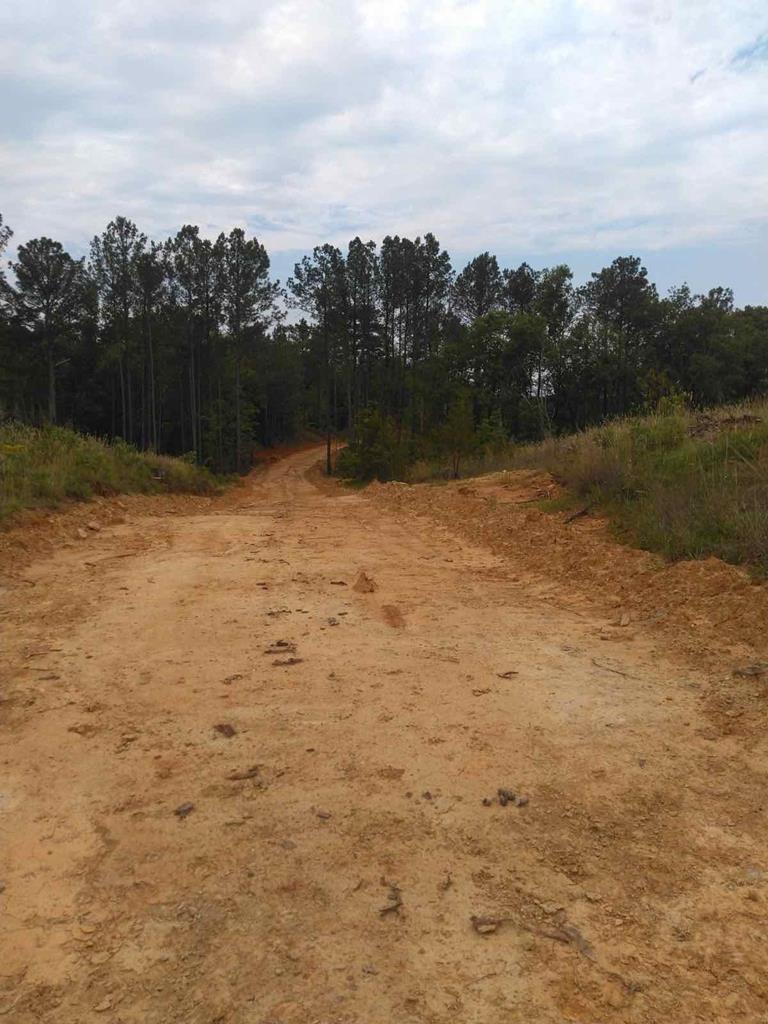 2 Hester Bottoms Road Calhoun Falls, SC 29628 - Photo 15 of 20 Gallery Image 15