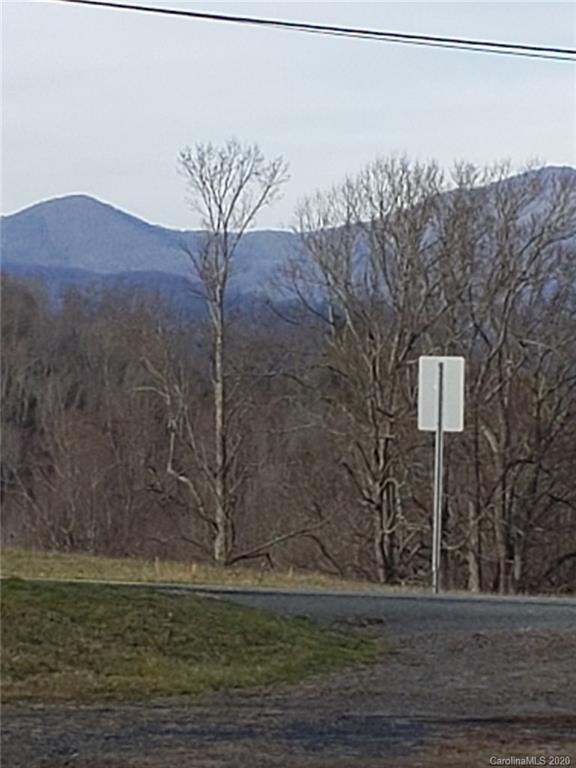 831 Dale Road Spruce Pine, NC 28777 - Photo 21 of 21 a view of a dry yard with mountain