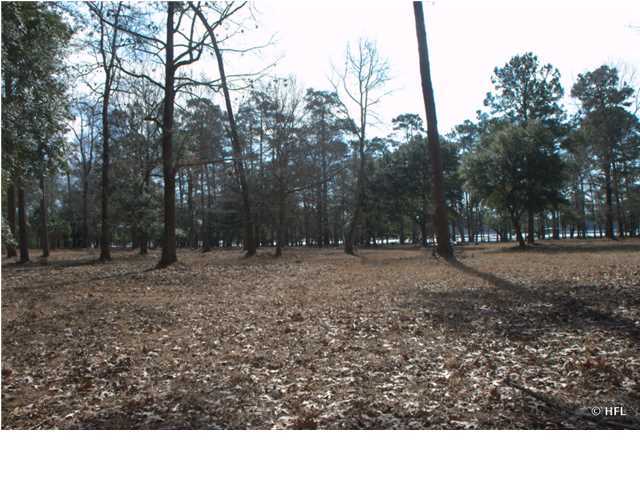 5 Retriever Road Wadmalaw Island, SC 29487 - Photo 16 of 16 Additional Photo