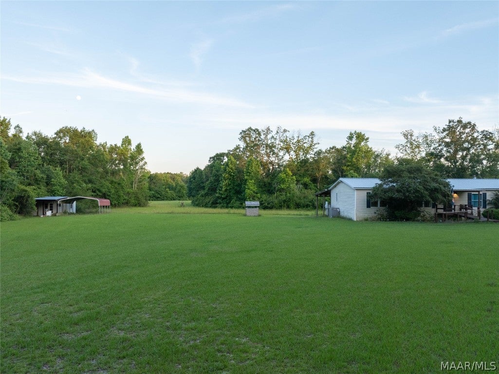921 Mixon Miller Road Samson, AL 36477 - Photo 19 of 54 Gallery Image 19