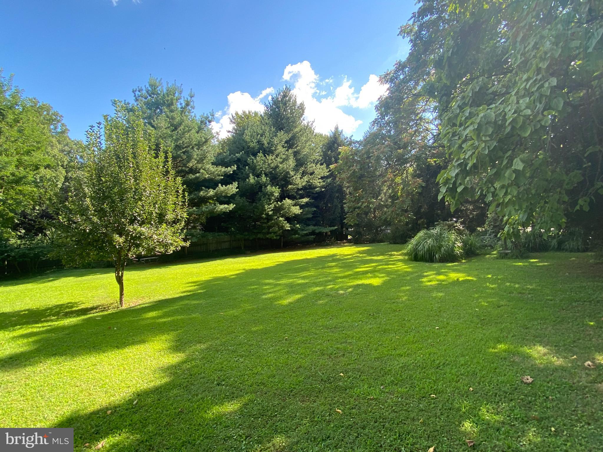 13300 Darnestown Road Gaithersburg, MD 20878 - Photo 67 of 73 Few Fruit Trees w/ apples & pairs!