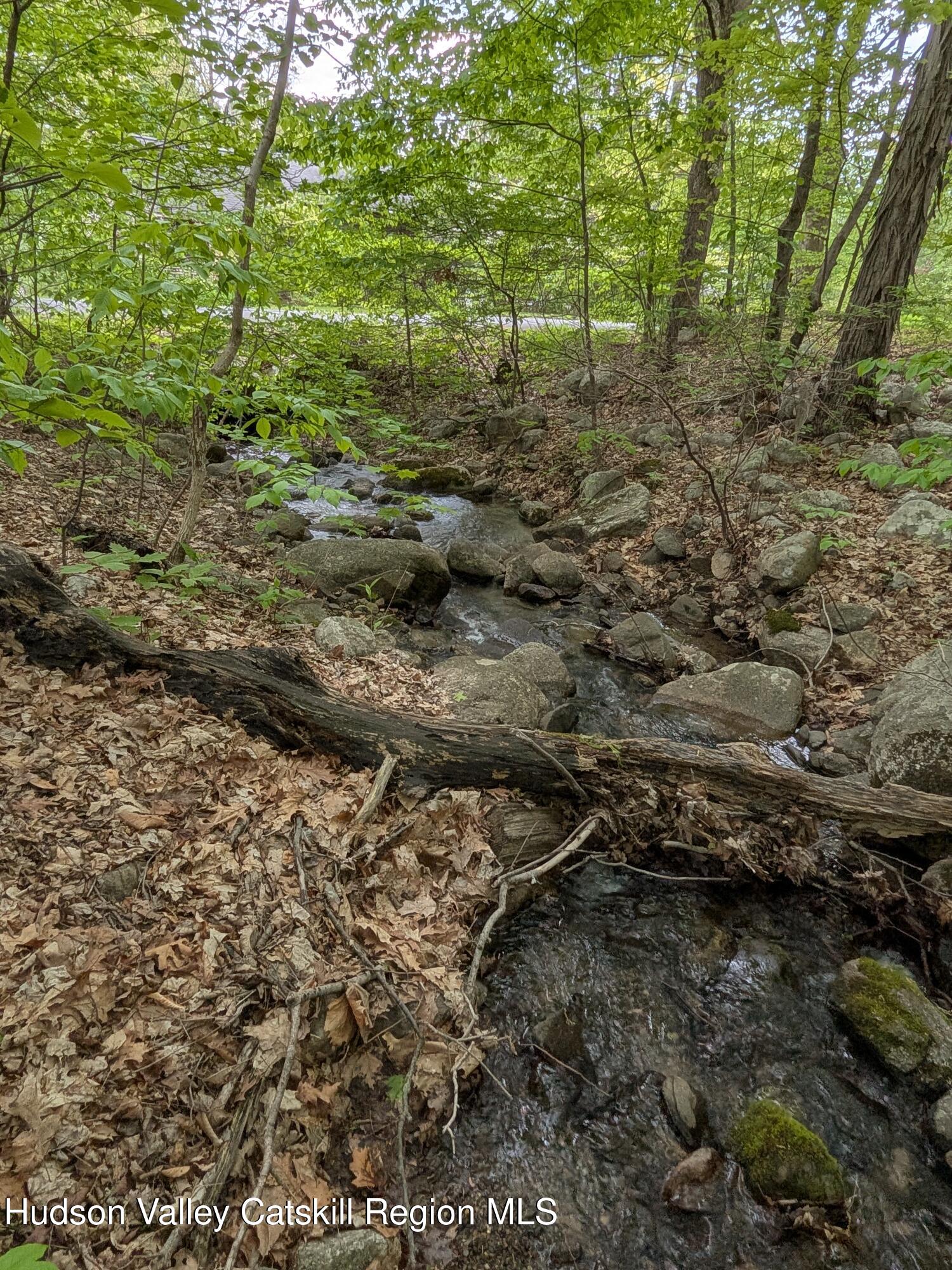 513 South Mountain Road Gardiner, NY 12525 - Photo 59 of 63 a view of a forest with trees