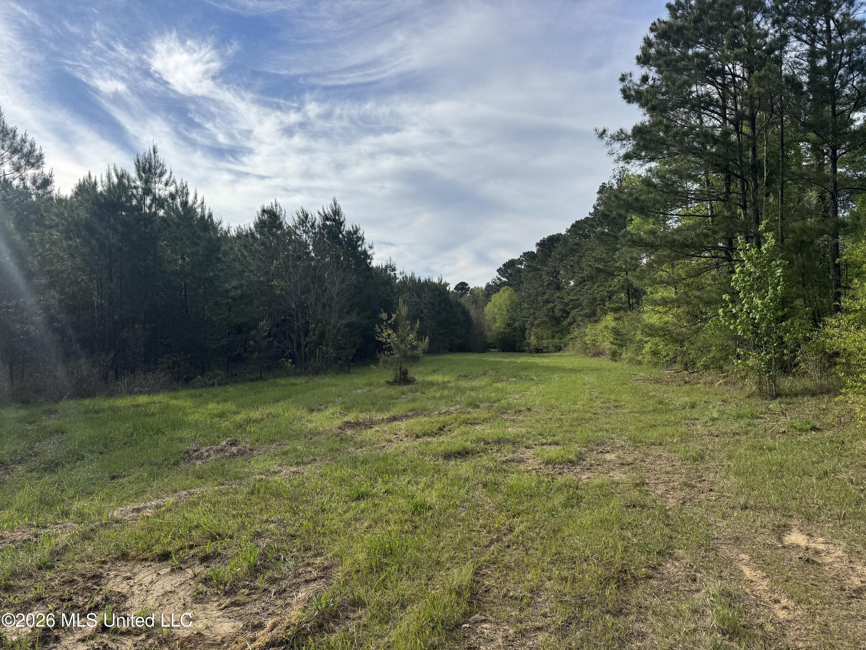 1311 North Jackson Street Brookhaven, MS 39601 - Photo 12 of 40 Photo Apr 07 2026, 17 19 26