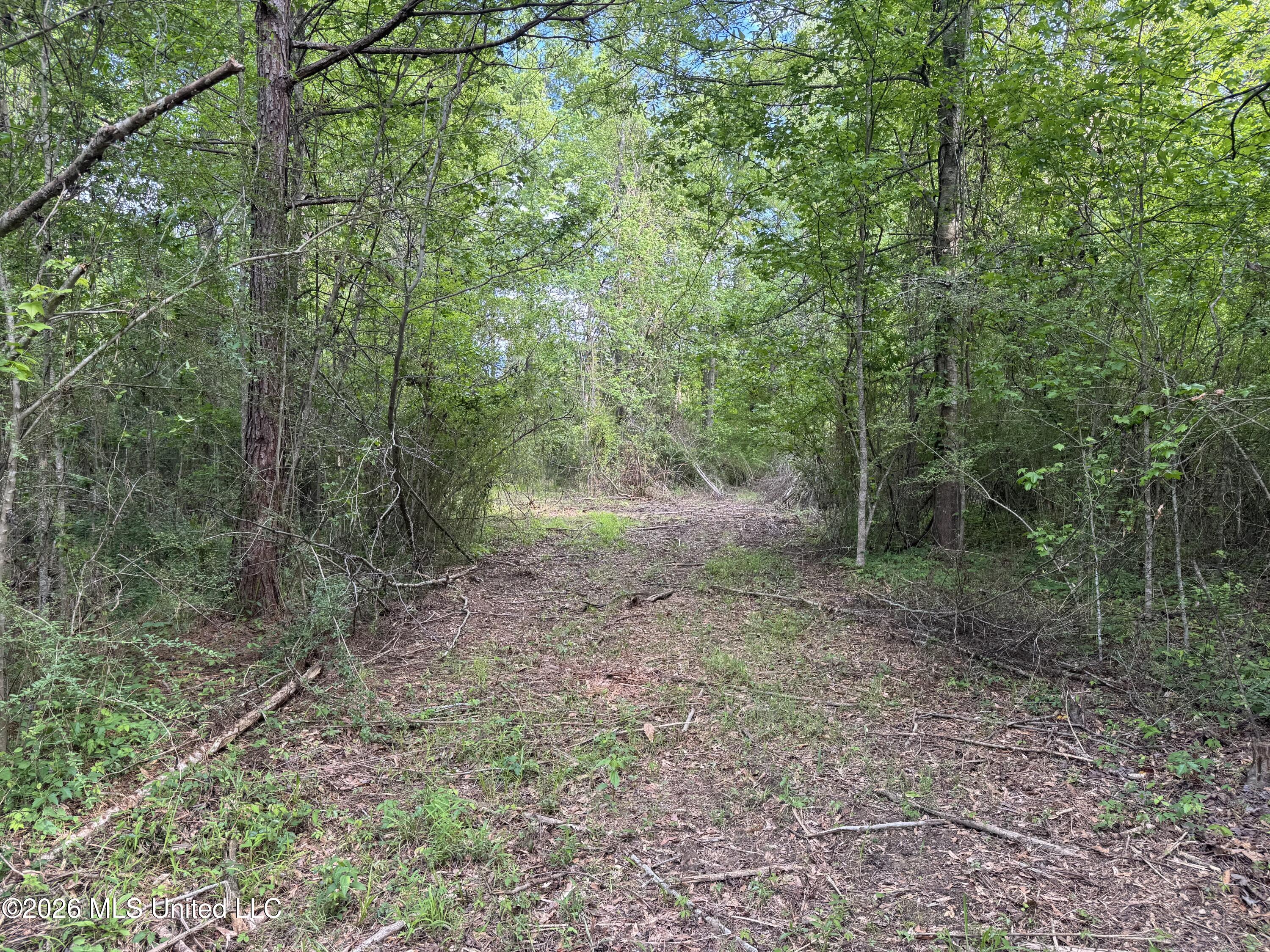 1311 North Jackson Street Brookhaven, MS 39601 - Photo 15 of 40 Photo Apr 07 2026, 17 20 57