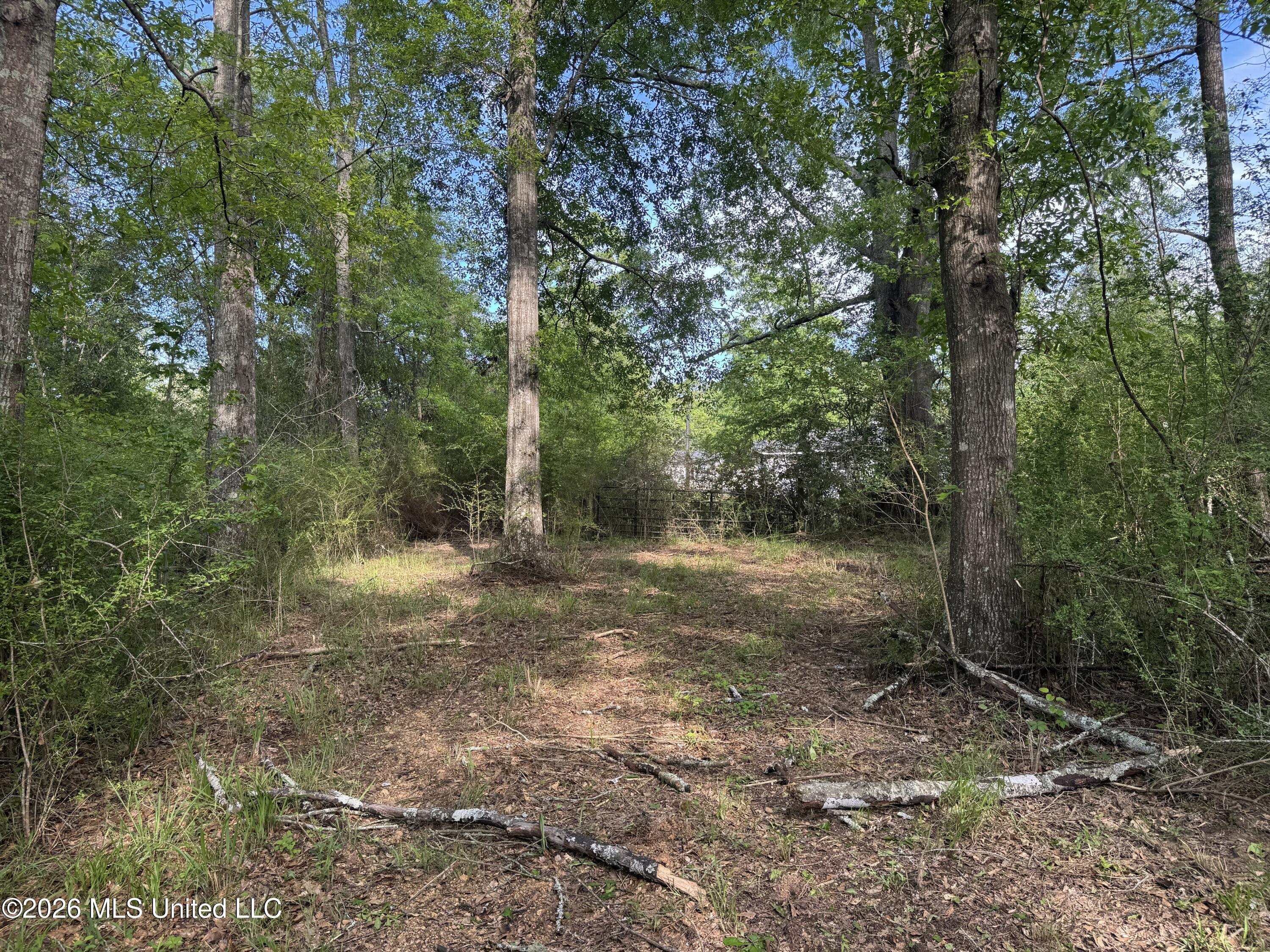 1311 North Jackson Street Brookhaven, MS 39601 - Photo 16 of 40 Photo Apr 07 2026, 17 21 23