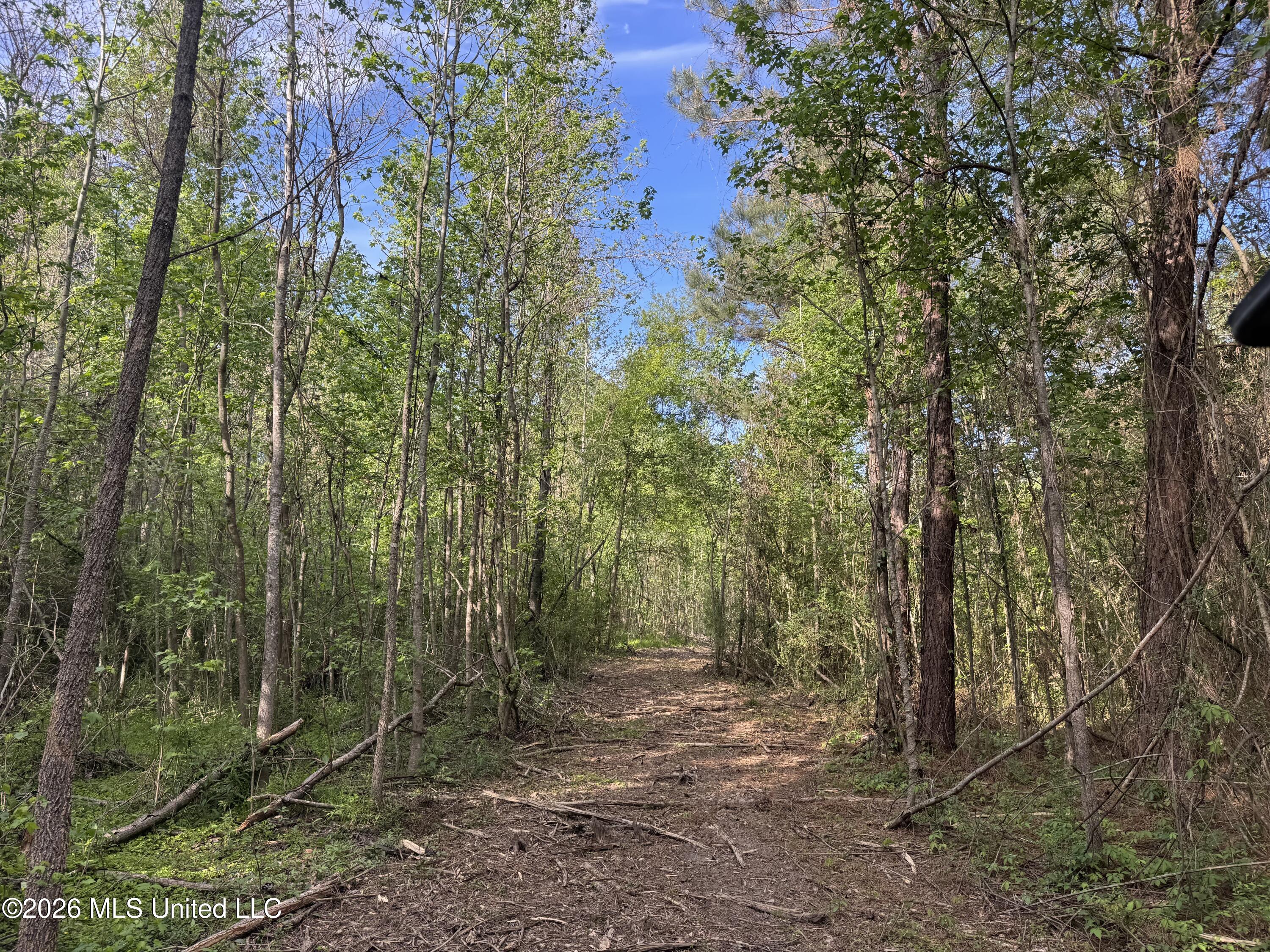 1311 North Jackson Street Brookhaven, MS 39601 - Photo 20 of 40 Photo Apr 07 2026, 17 24 48