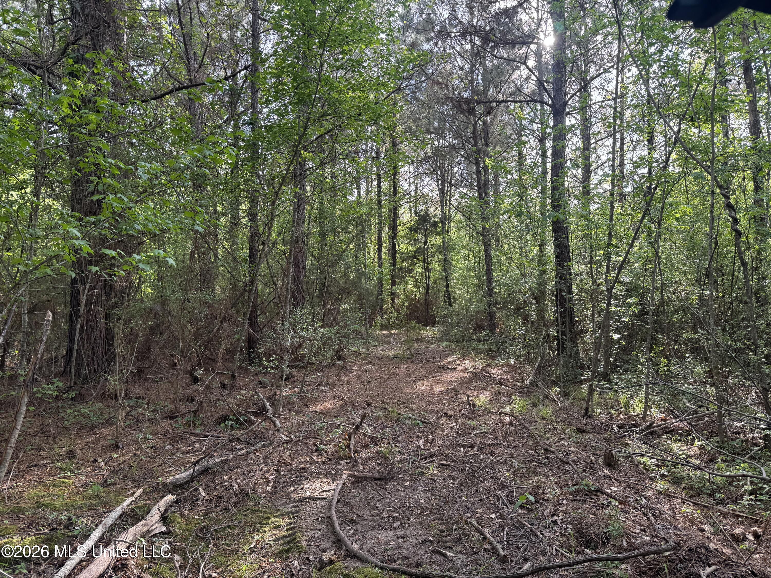 1311 North Jackson Street Brookhaven, MS 39601 - Photo 23 of 40 Photo Apr 07 2026, 17 26 02