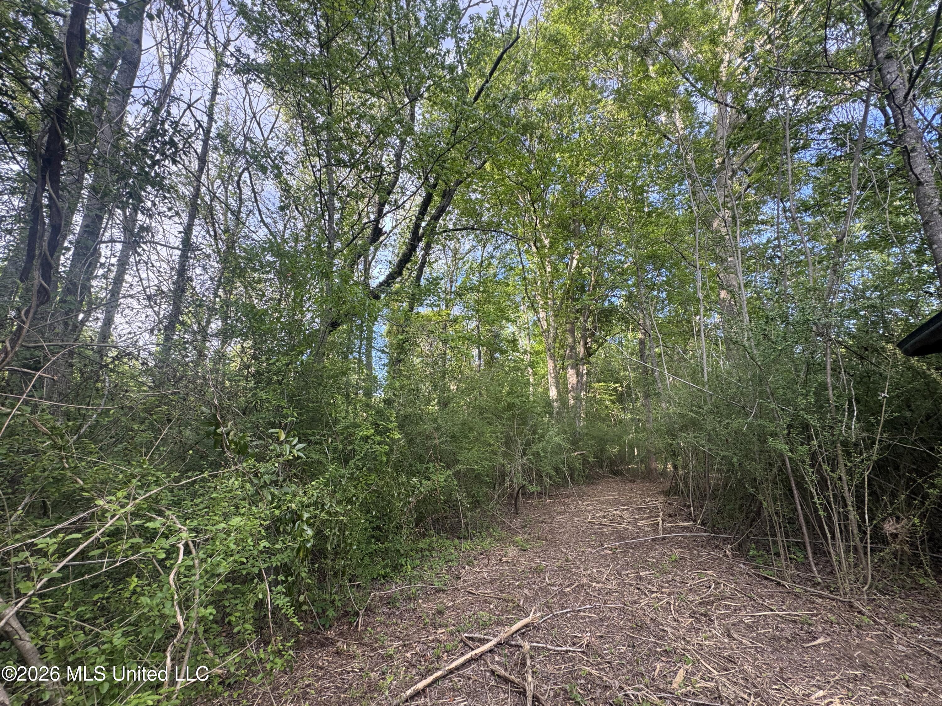 1311 North Jackson Street Brookhaven, MS 39601 - Photo 25 of 40 Photo Apr 07 2026, 17 28 11