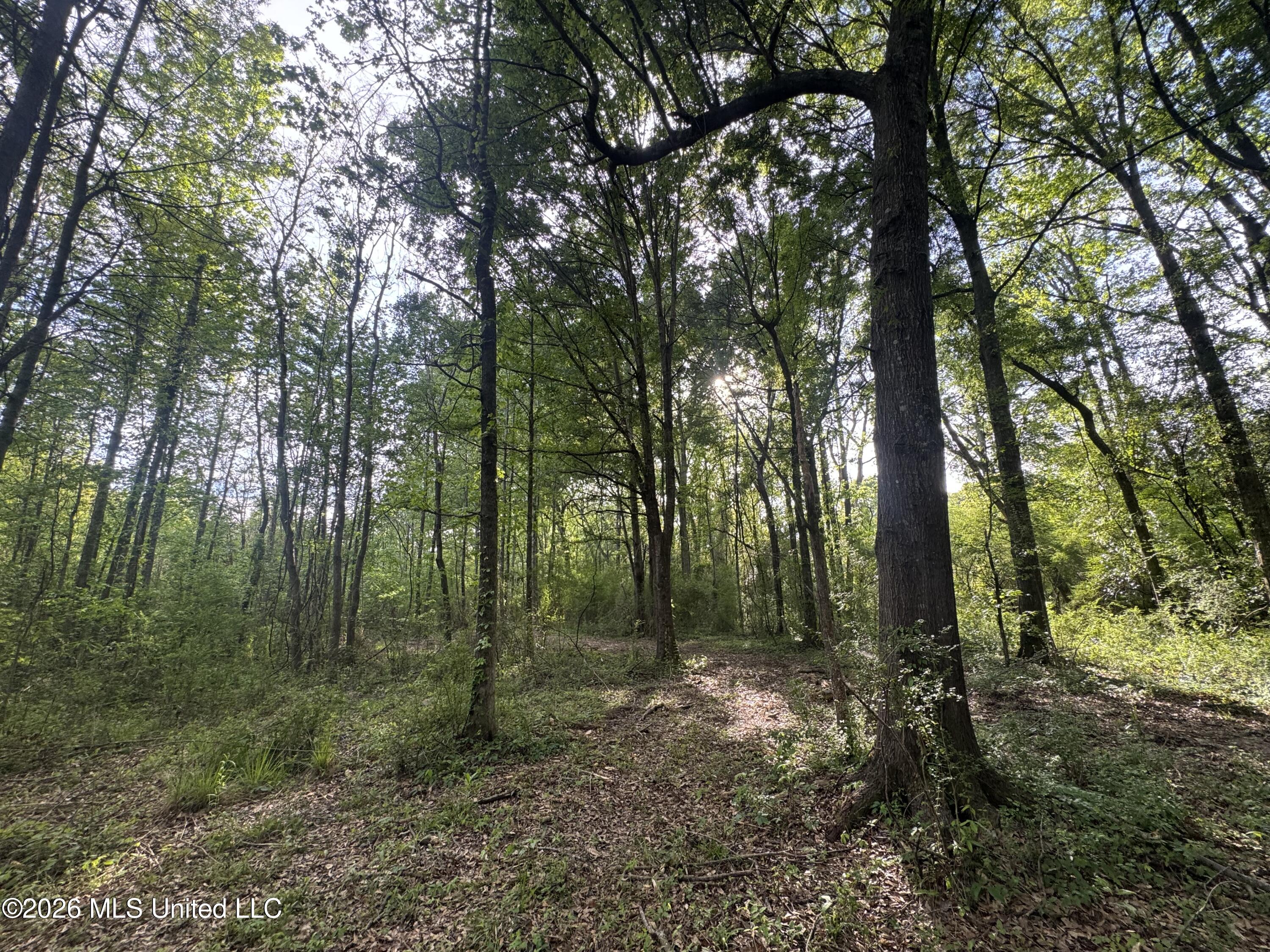 1311 North Jackson Street Brookhaven, MS 39601 - Photo 30 of 40 Photo Apr 07 2026, 17 30 30