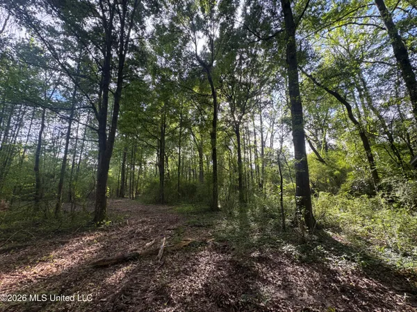 $130,000 | 1311 North Jackson Street, Brookhaven, MS 39601