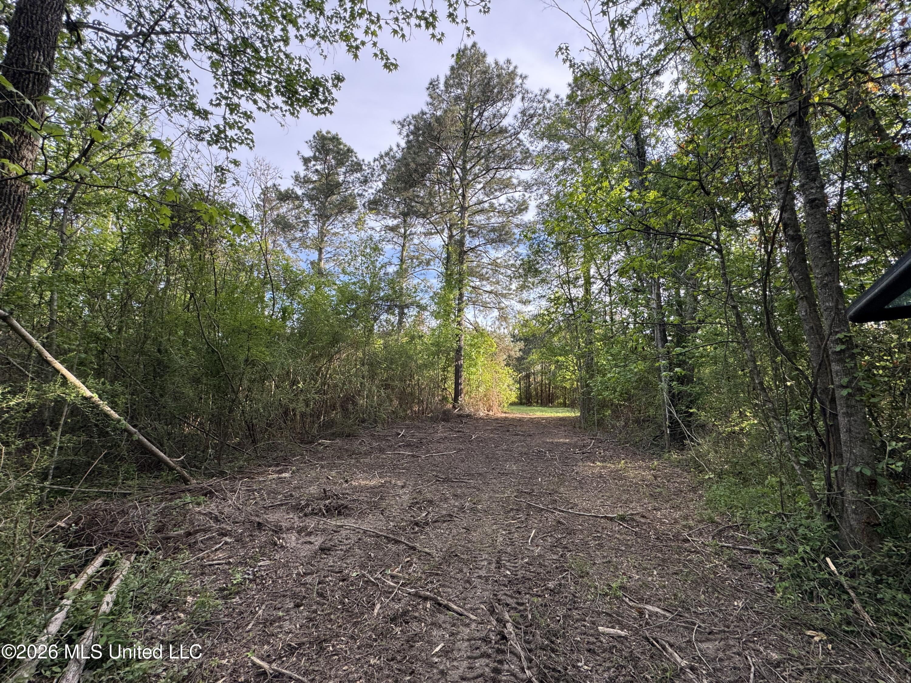 1311 North Jackson Street Brookhaven, MS 39601 - Photo 33 of 40 Photo Apr 07 2026, 17 32 32