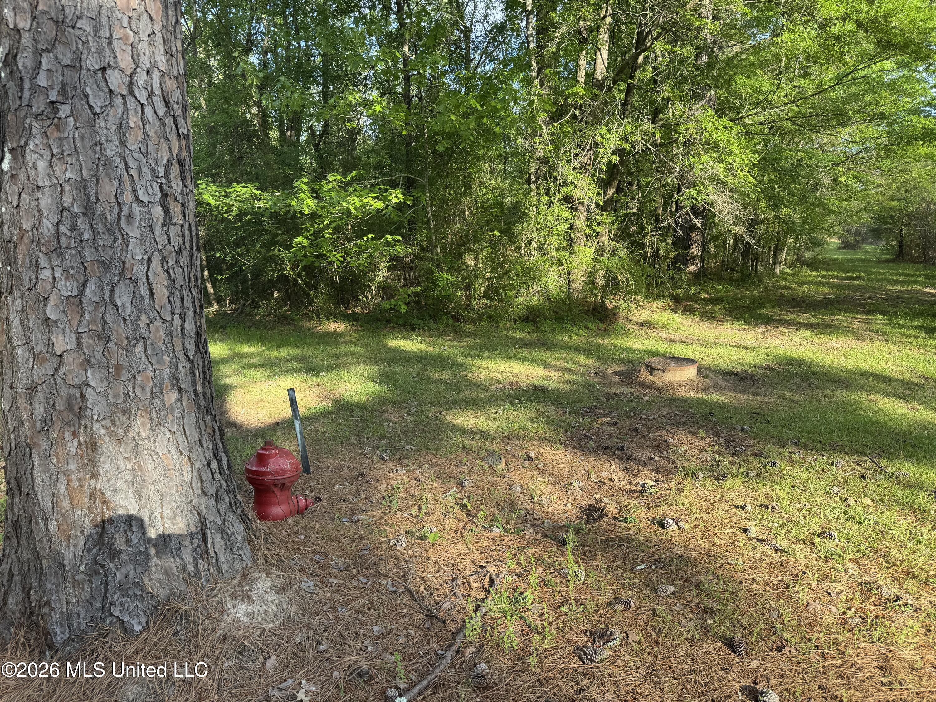 1311 North Jackson Street Brookhaven, MS 39601 - Photo 34 of 40 Photo Apr 07 2026, 17 35 52