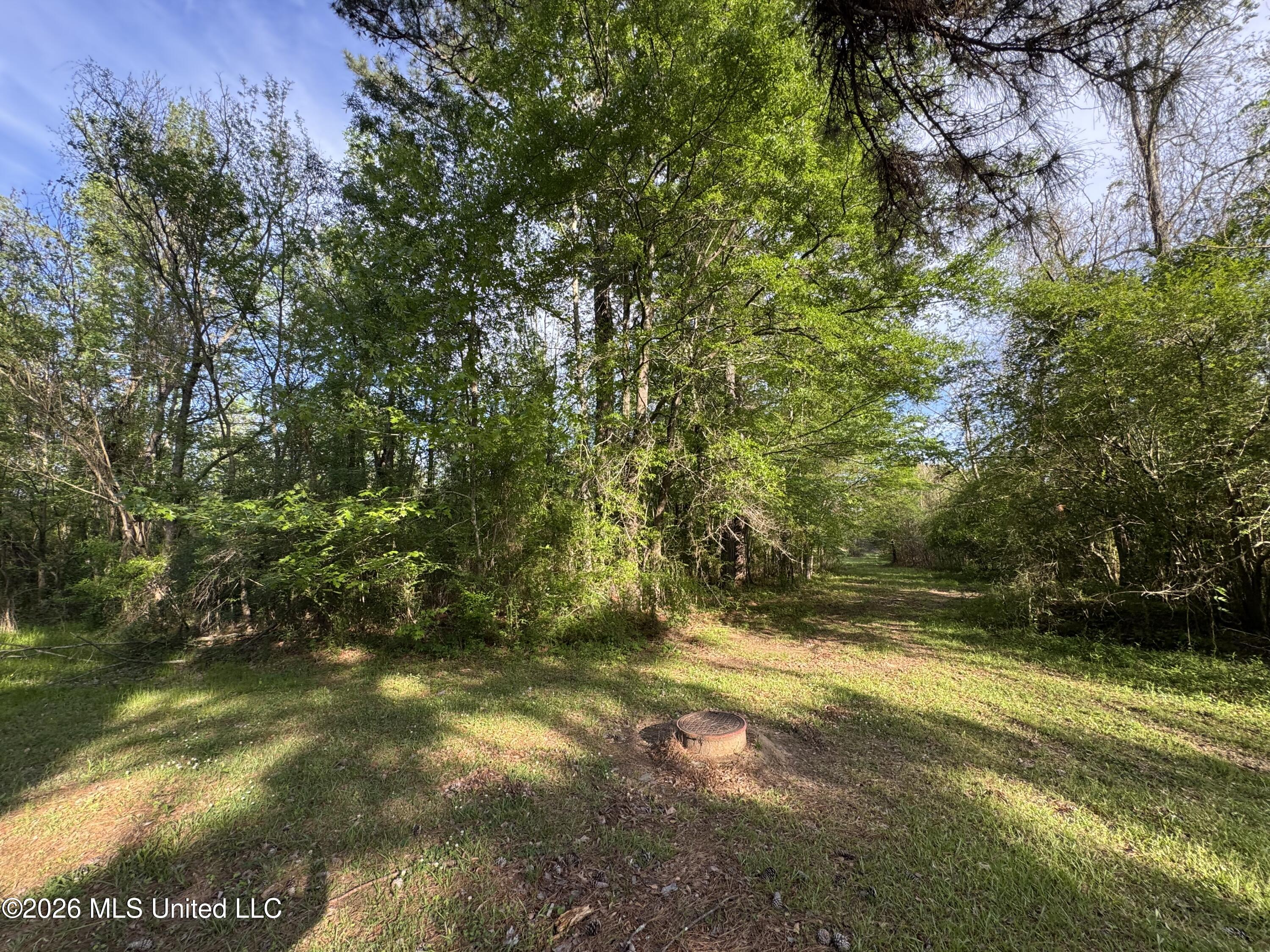 1311 North Jackson Street Brookhaven, MS 39601 - Photo 35 of 40 Photo Apr 07 2026, 17 36 02