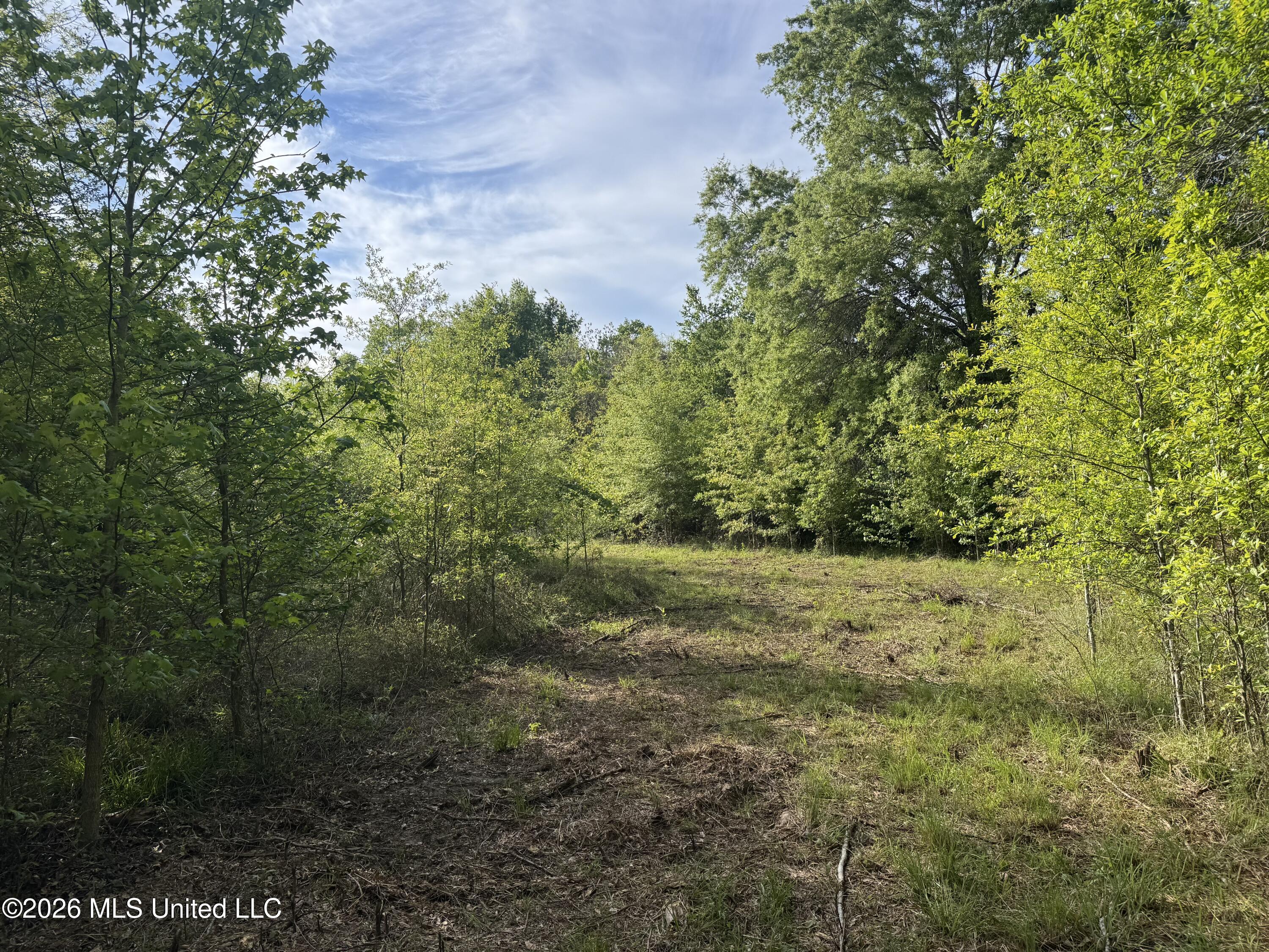 1311 North Jackson Street Brookhaven, MS 39601 - Photo 6 of 40 Photo Apr 07 2026, 17 16 27