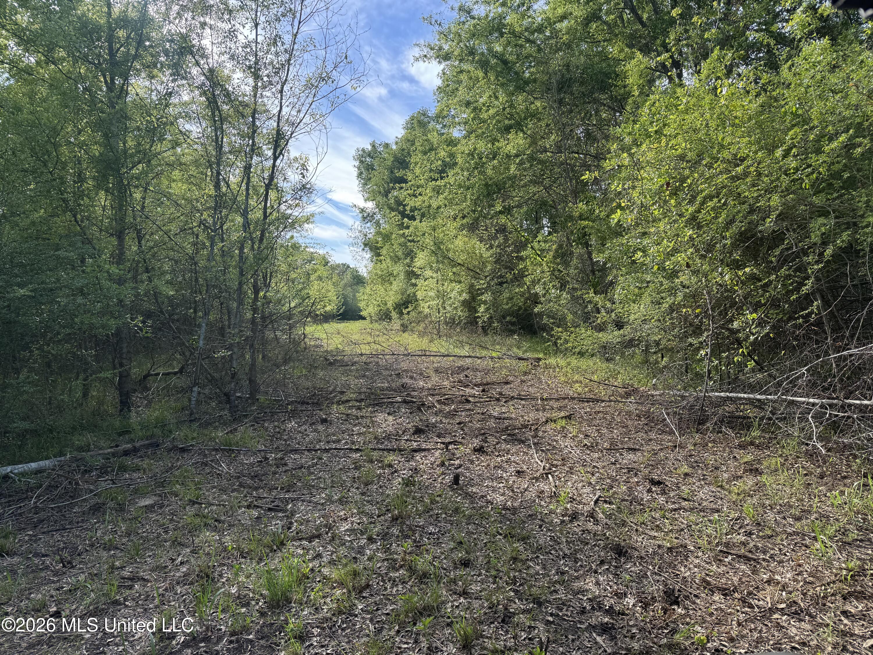1311 North Jackson Street Brookhaven, MS 39601 - Photo 7 of 40 Photo Apr 07 2026, 17 16 58