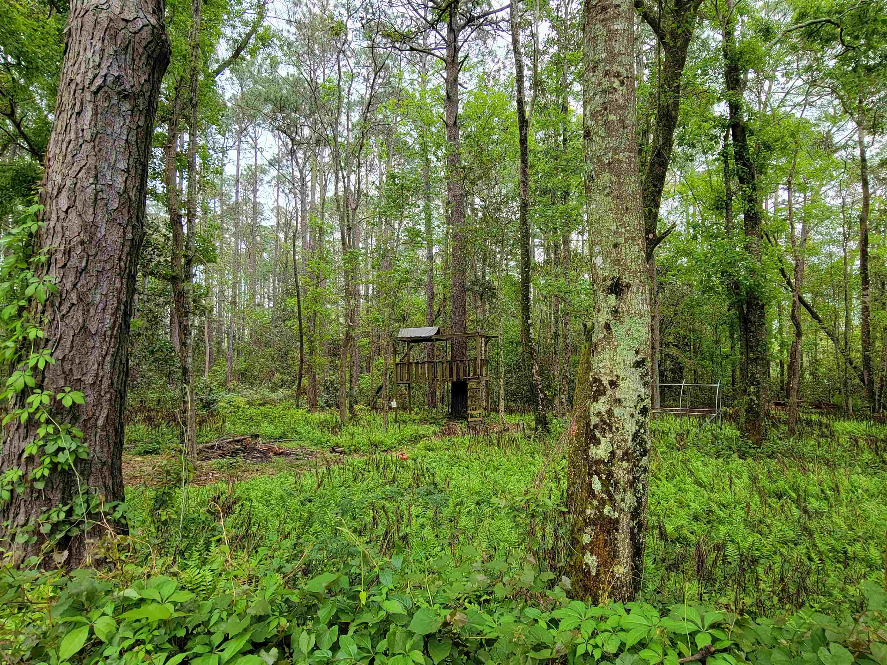 10 County Road Foley, AL 36535 - Photo 4 of 17