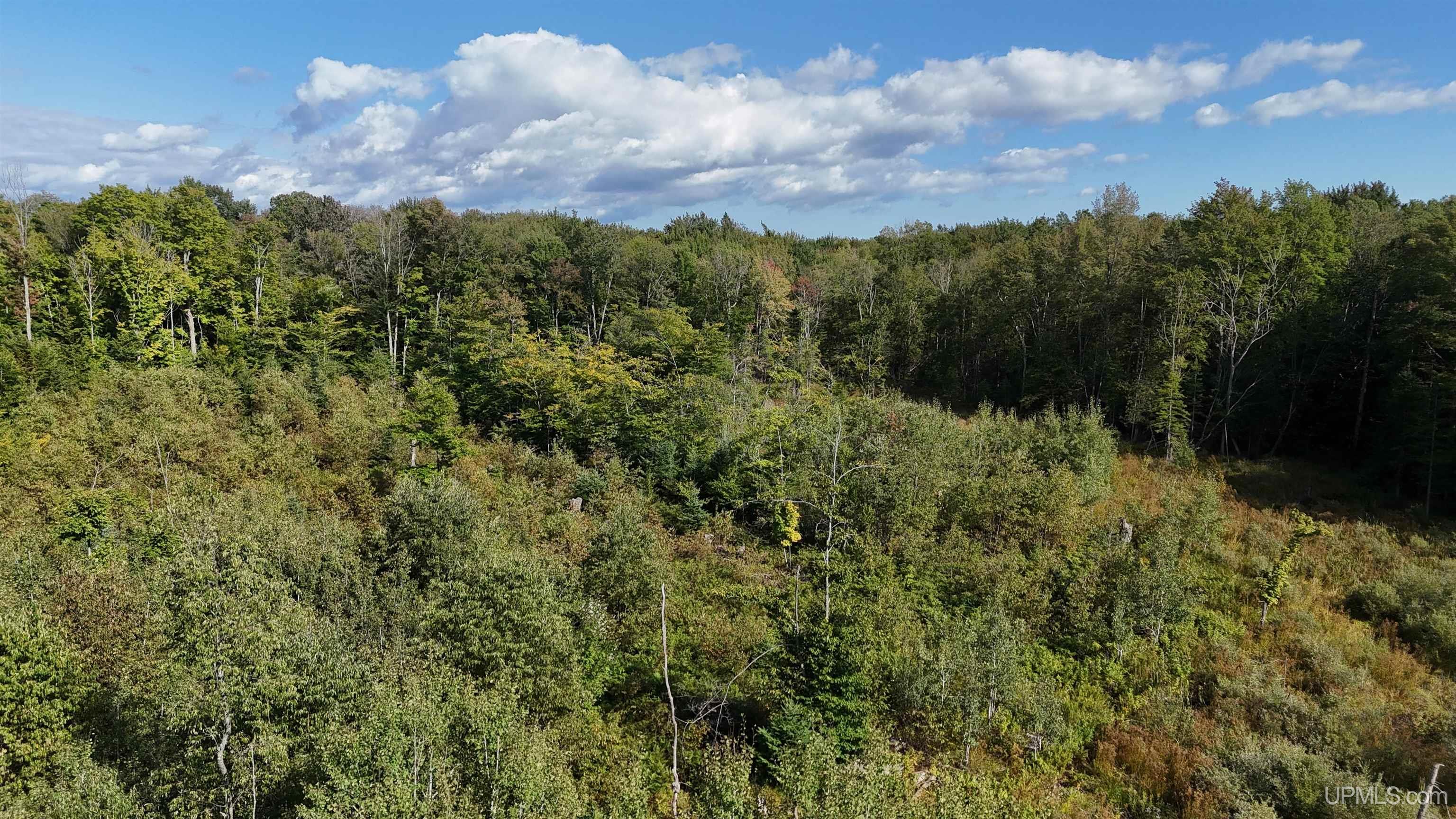 Tbd West Ford Lake Road Germfask, MI 49836 - Photo 15 of 22 Gallery Image 15