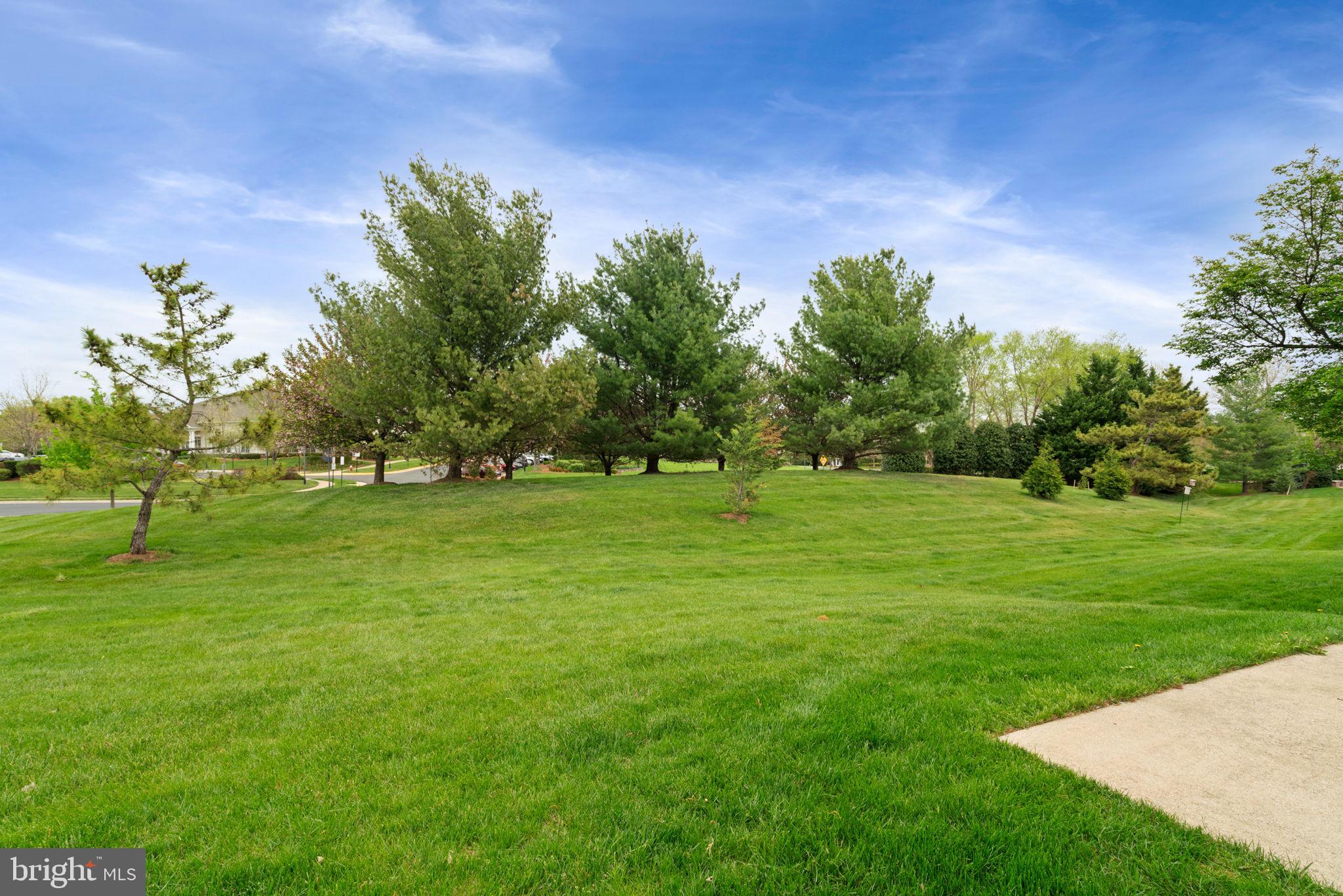 20638 Golden Ridge Drive Ashburn, VA 20147 - Photo 48 of 50 Gallery Image 48
