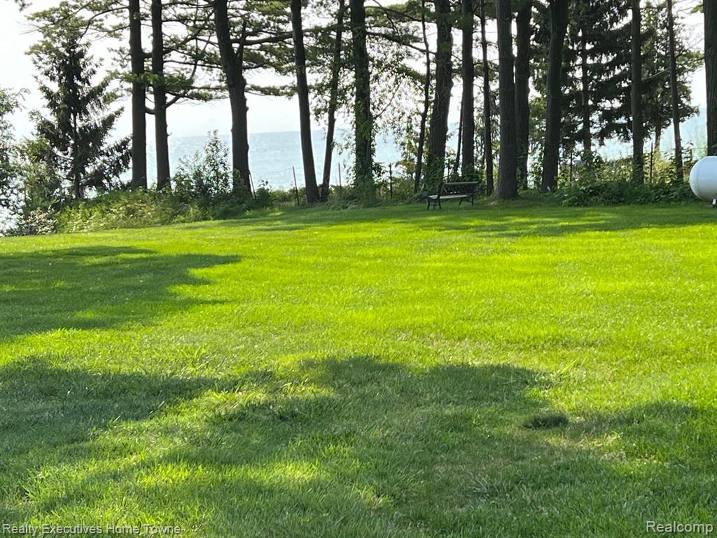 2545-40 South Lakeshore Road Applegate, MI 48401 - Photo 4 of 34