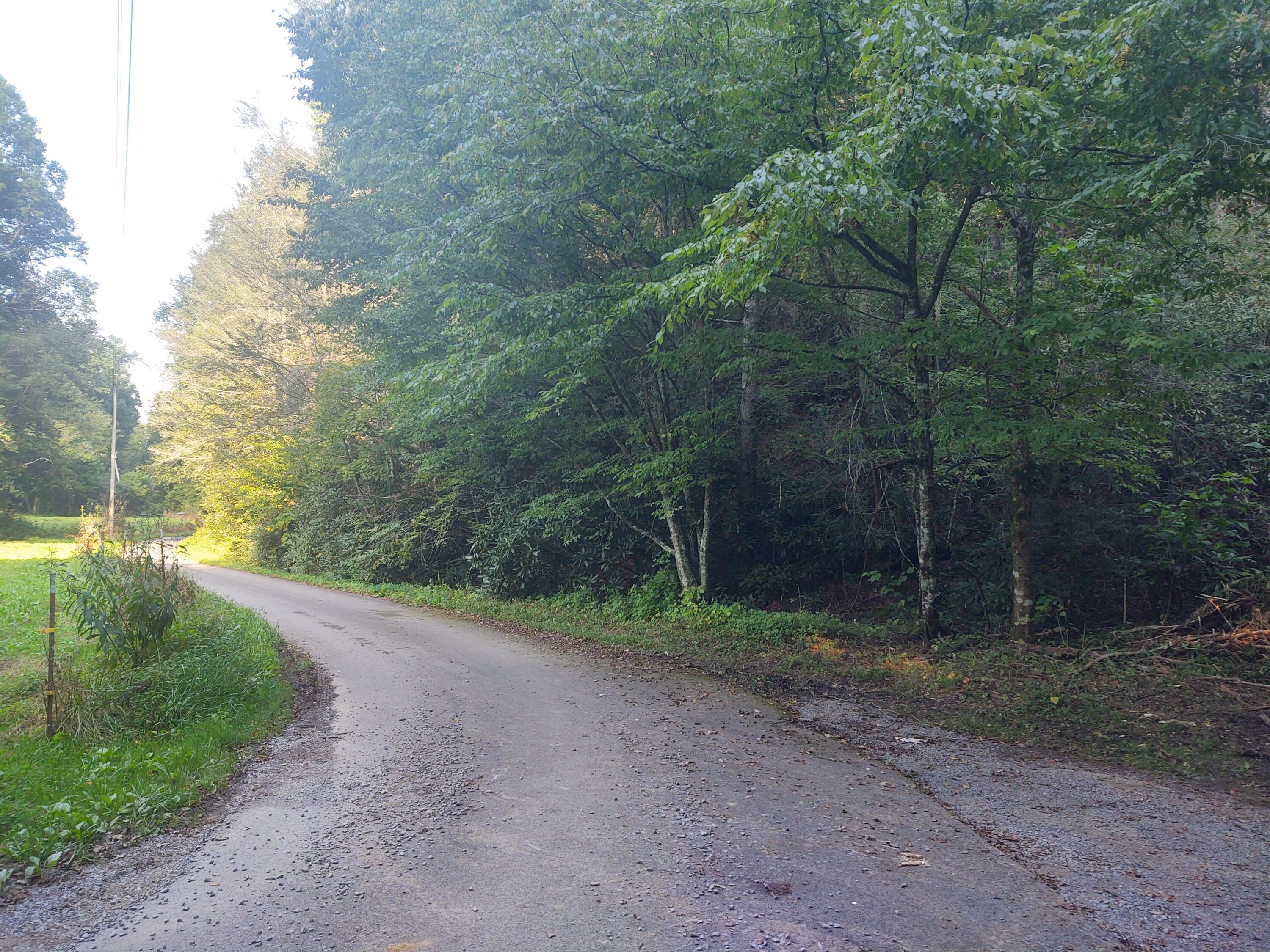 Mathis Branch Road Gatlinburg, TN 37738 - Photo 1 of 11 Pic 2