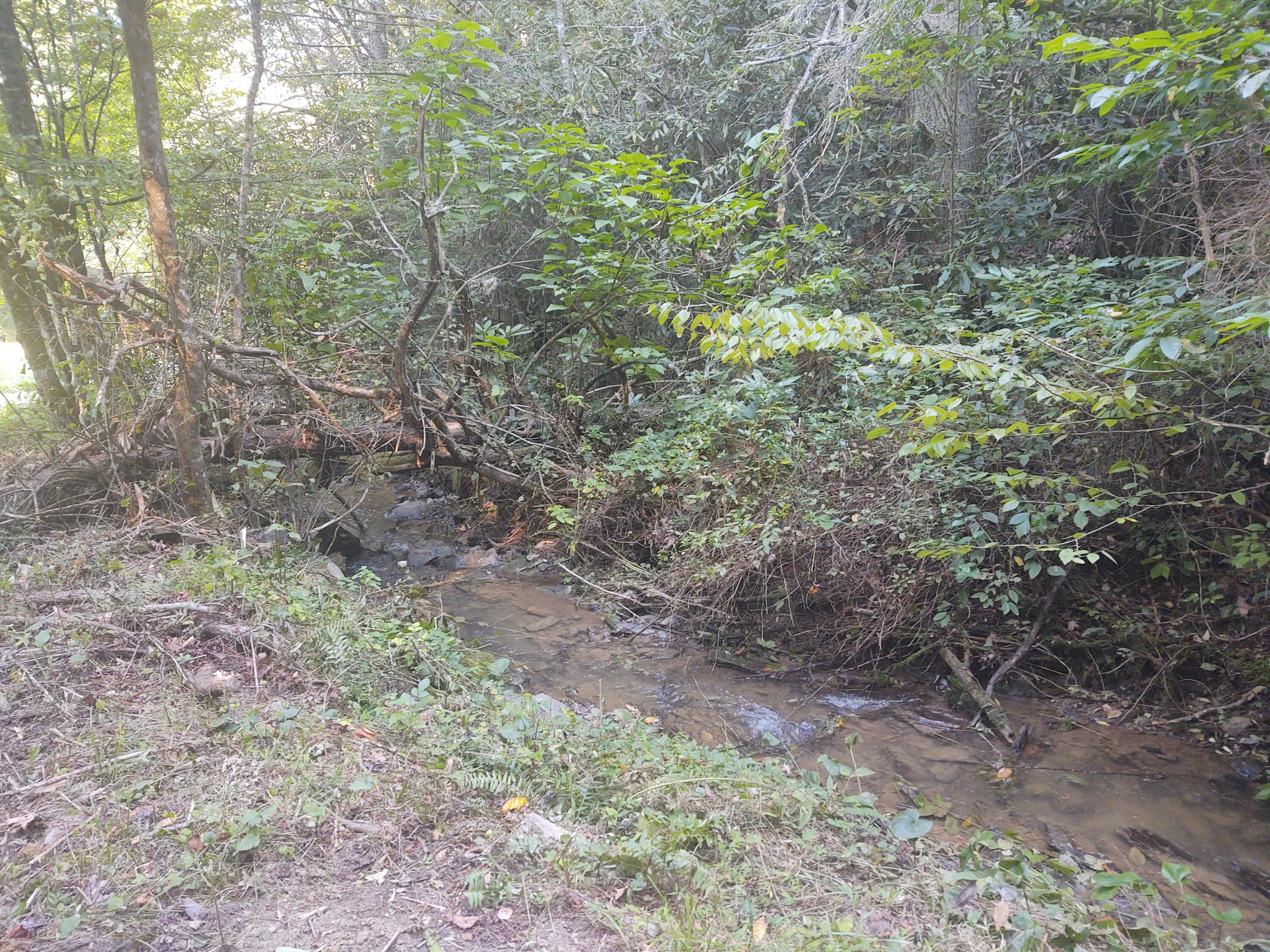 Mathis Branch Road Gatlinburg, TN 37738 - Photo 2 of 11 Pic 3
