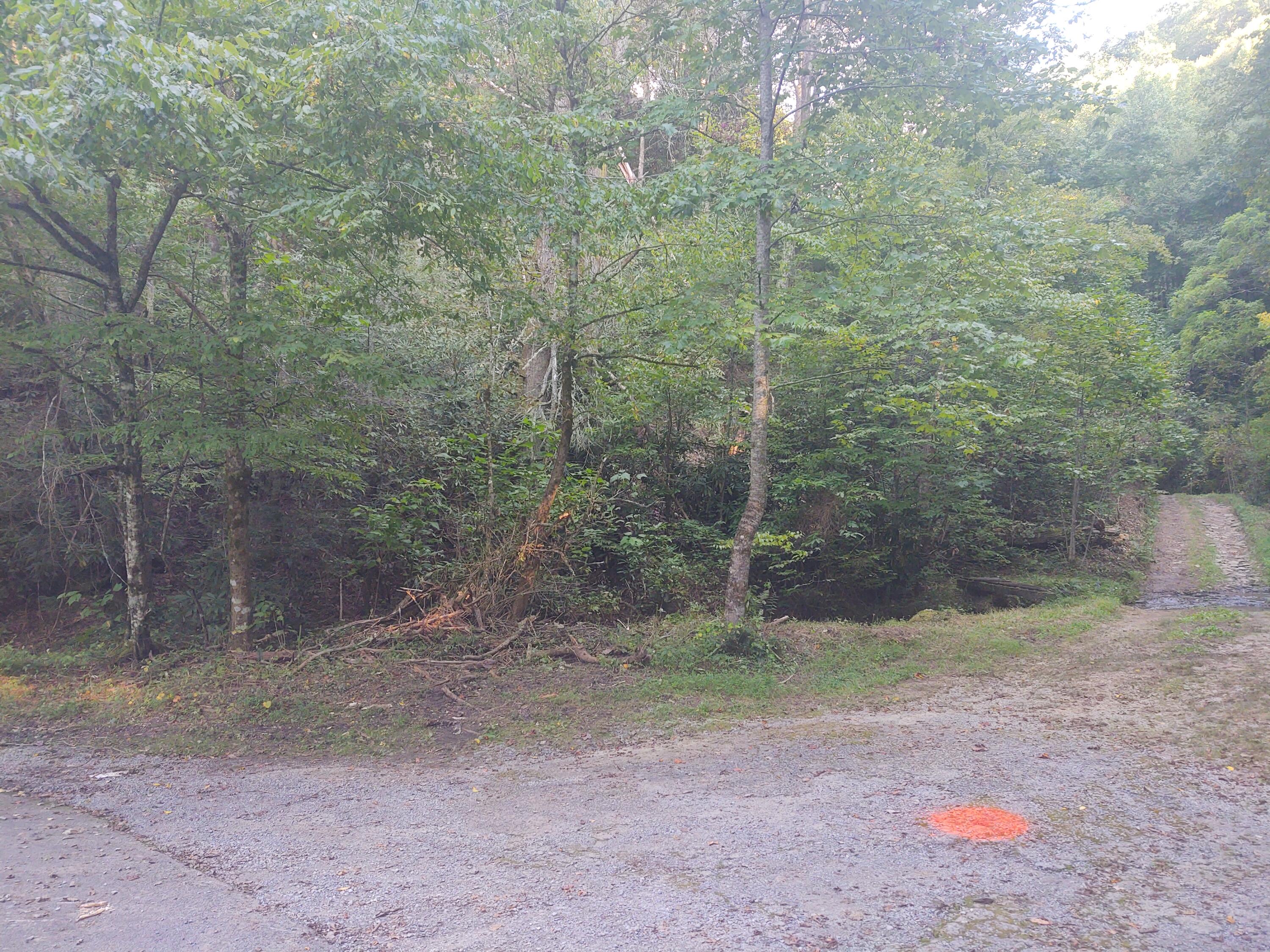 Mathis Branch Road Gatlinburg, TN 37738 - Photo 11 of 11 Pic 1