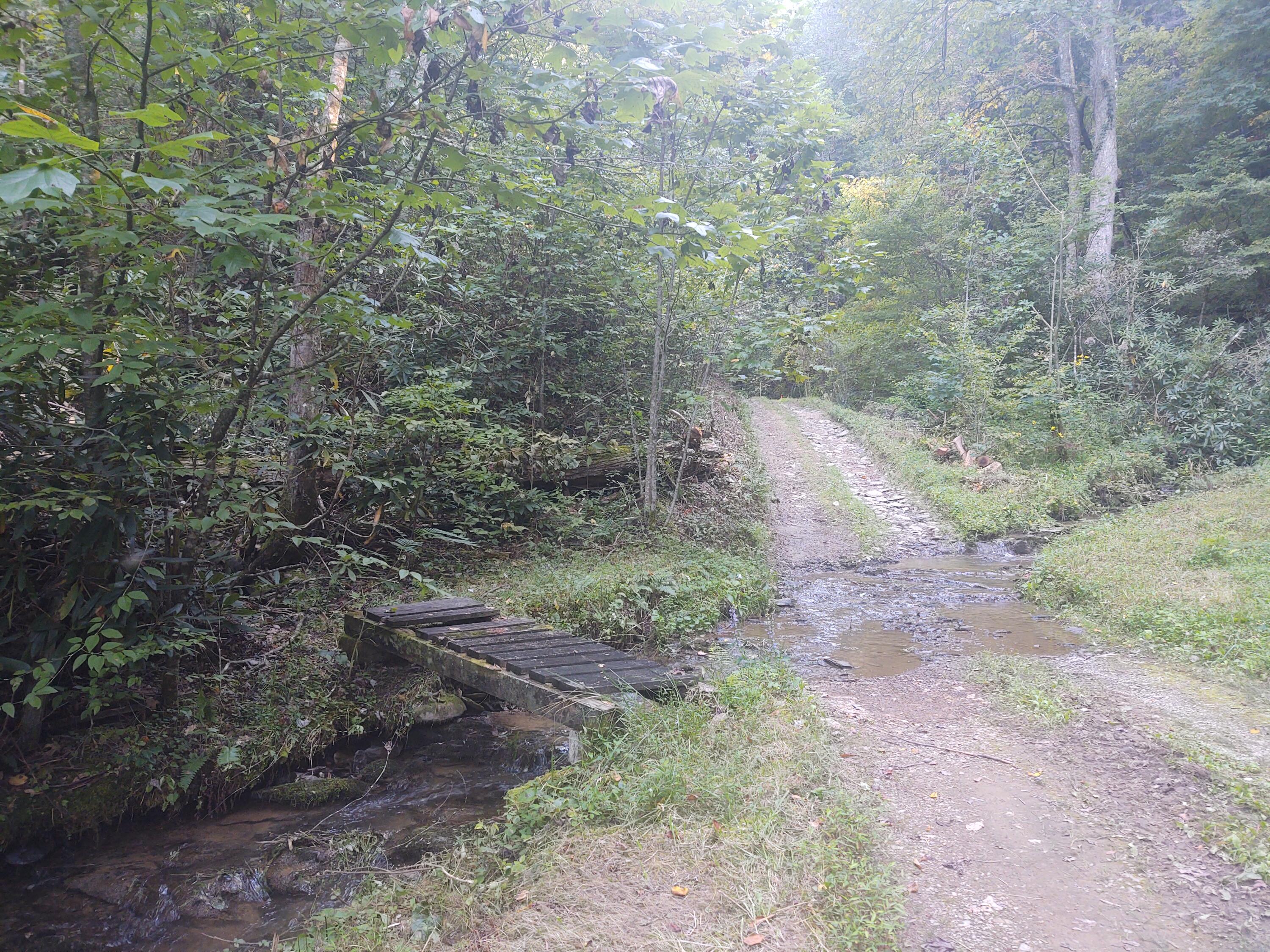 Mathis Branch Road Gatlinburg, TN 37738 - Photo 3 of 11 Pic 4