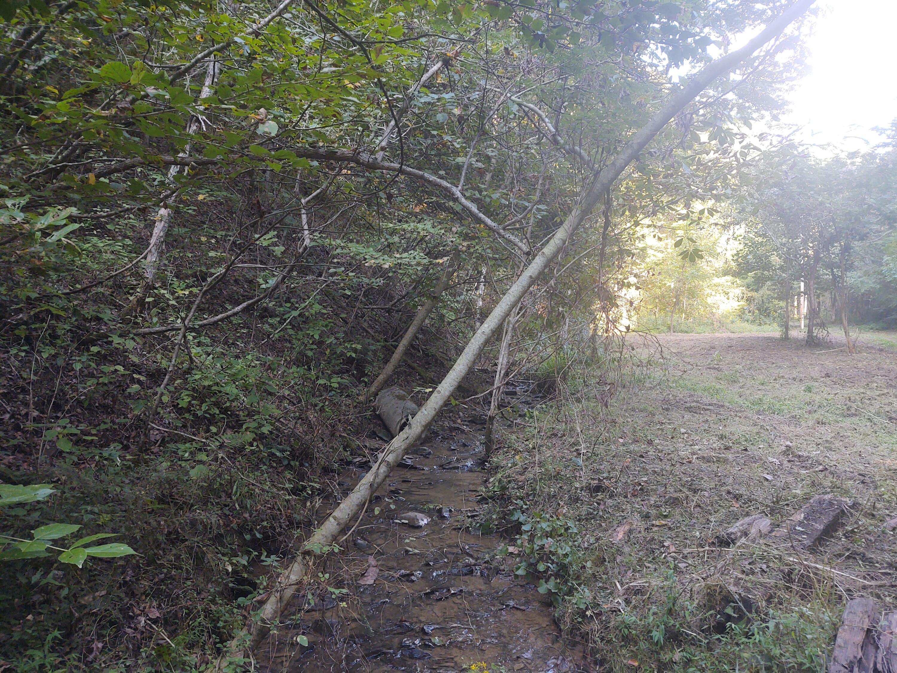 Mathis Branch Road Gatlinburg, TN 37738 - Photo 4 of 11 Pic 5