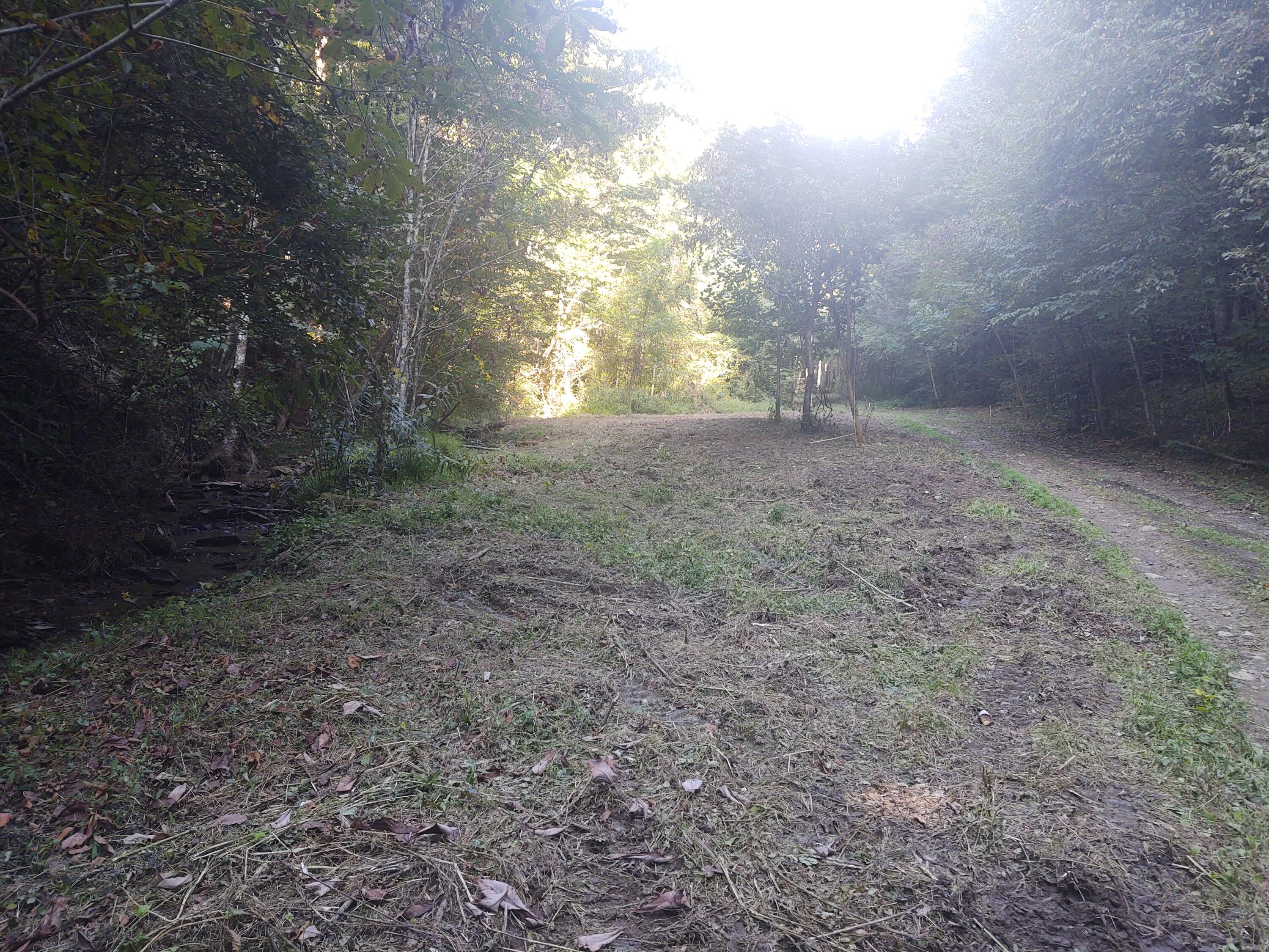 Mathis Branch Road Gatlinburg, TN 37738 - Photo 5 of 11 Pic 6