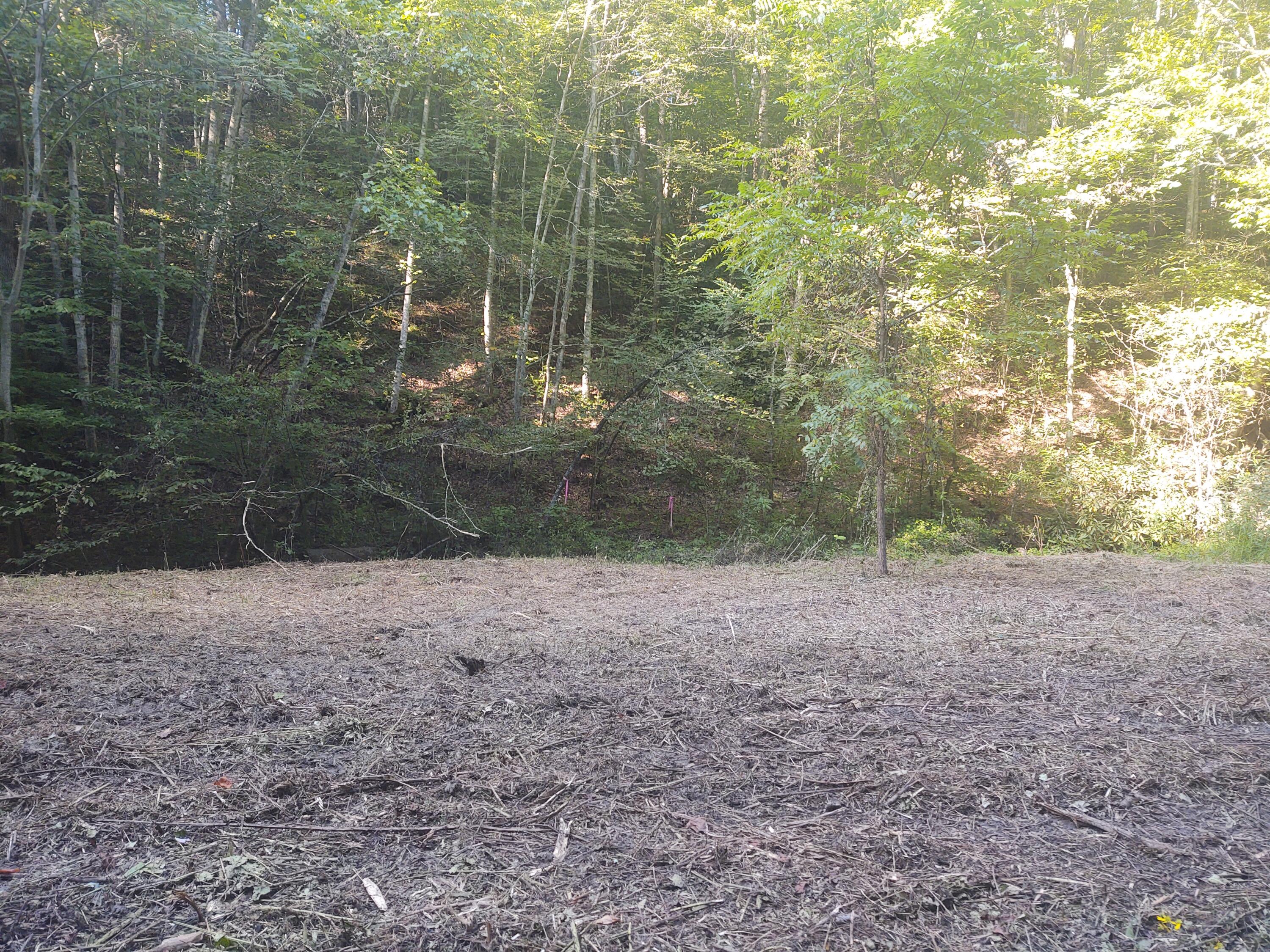Mathis Branch Road Gatlinburg, TN 37738 - Photo 6 of 11 Pic 7