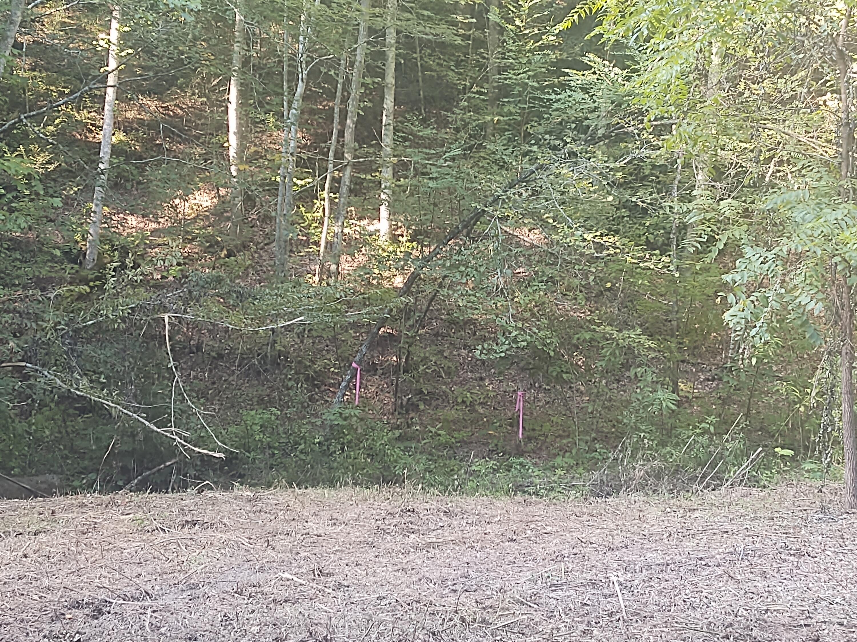 Mathis Branch Road Gatlinburg, TN 37738 - Photo 7 of 11 Pic 8